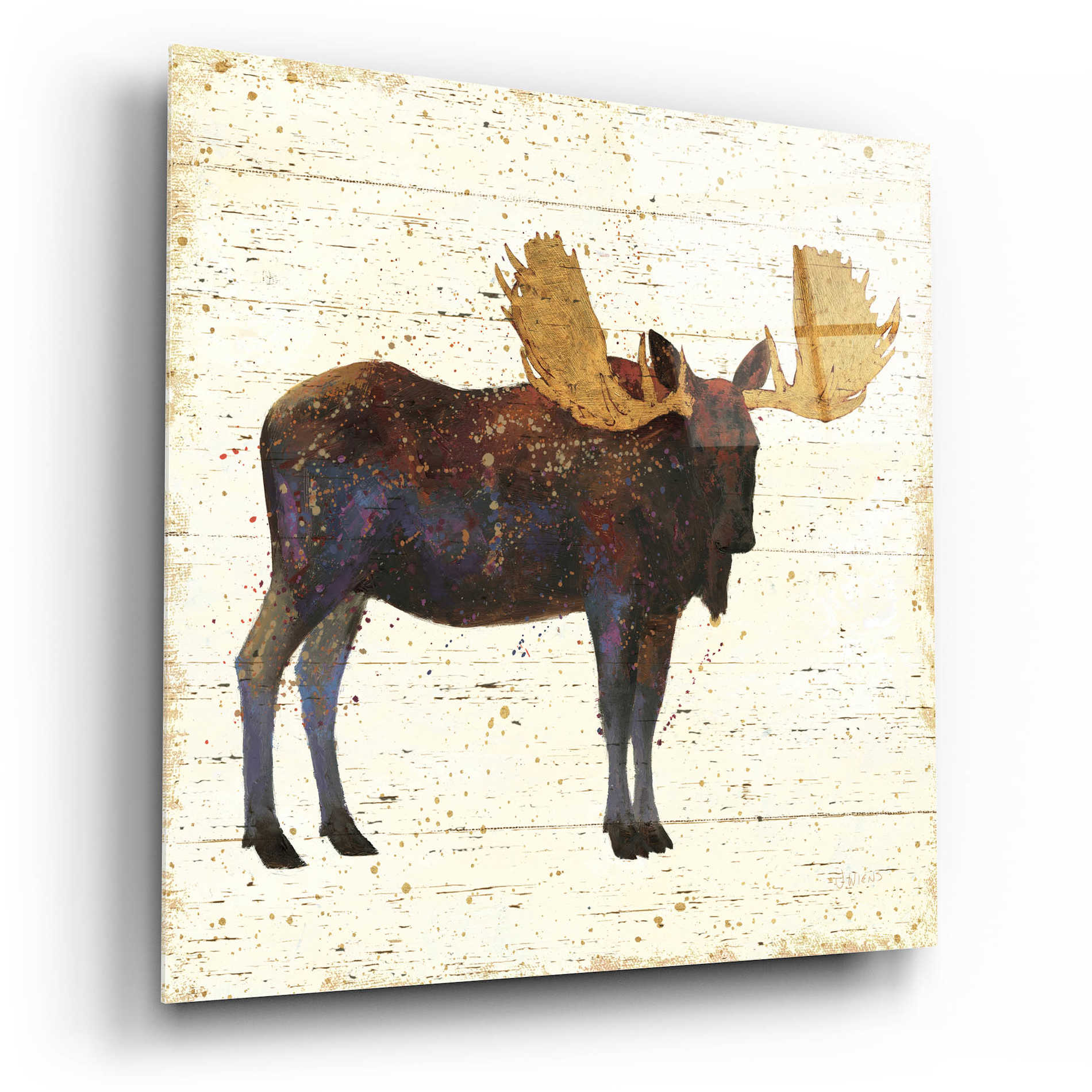 Epic Art 'Golden Nature I' by James Wiens, Acrylic Glass Wall Art,12x12