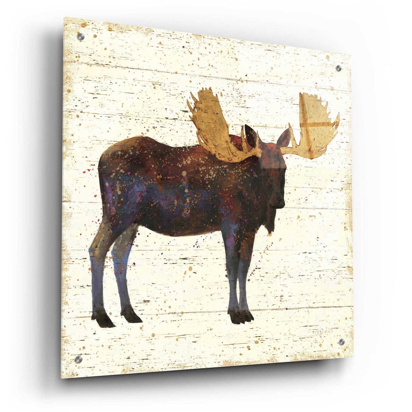 Epic Art 'Golden Nature I' by James Wiens, Acrylic Glass Wall Art,24x24