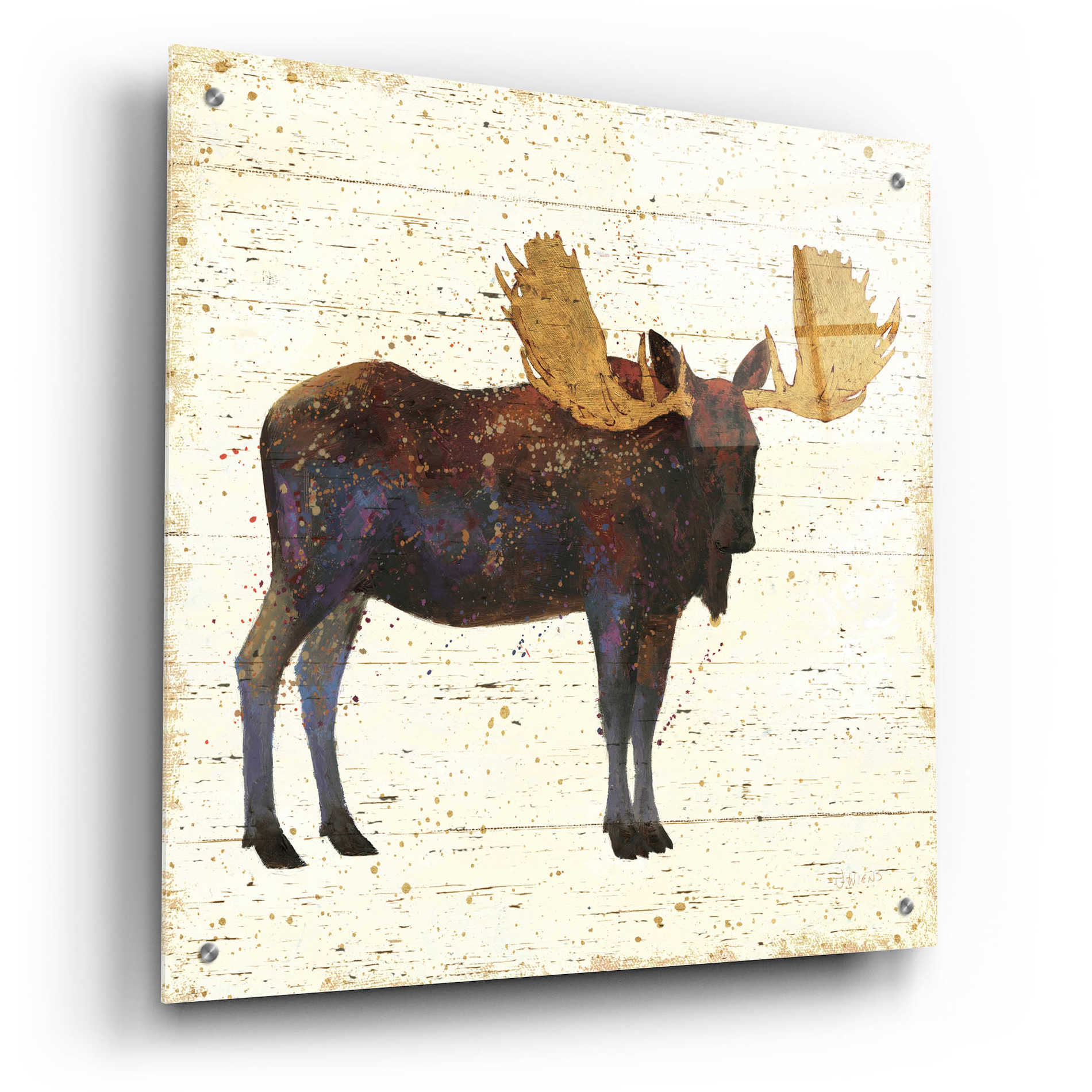 Epic Art 'Golden Nature I' by James Wiens, Acrylic Glass Wall Art,24x24