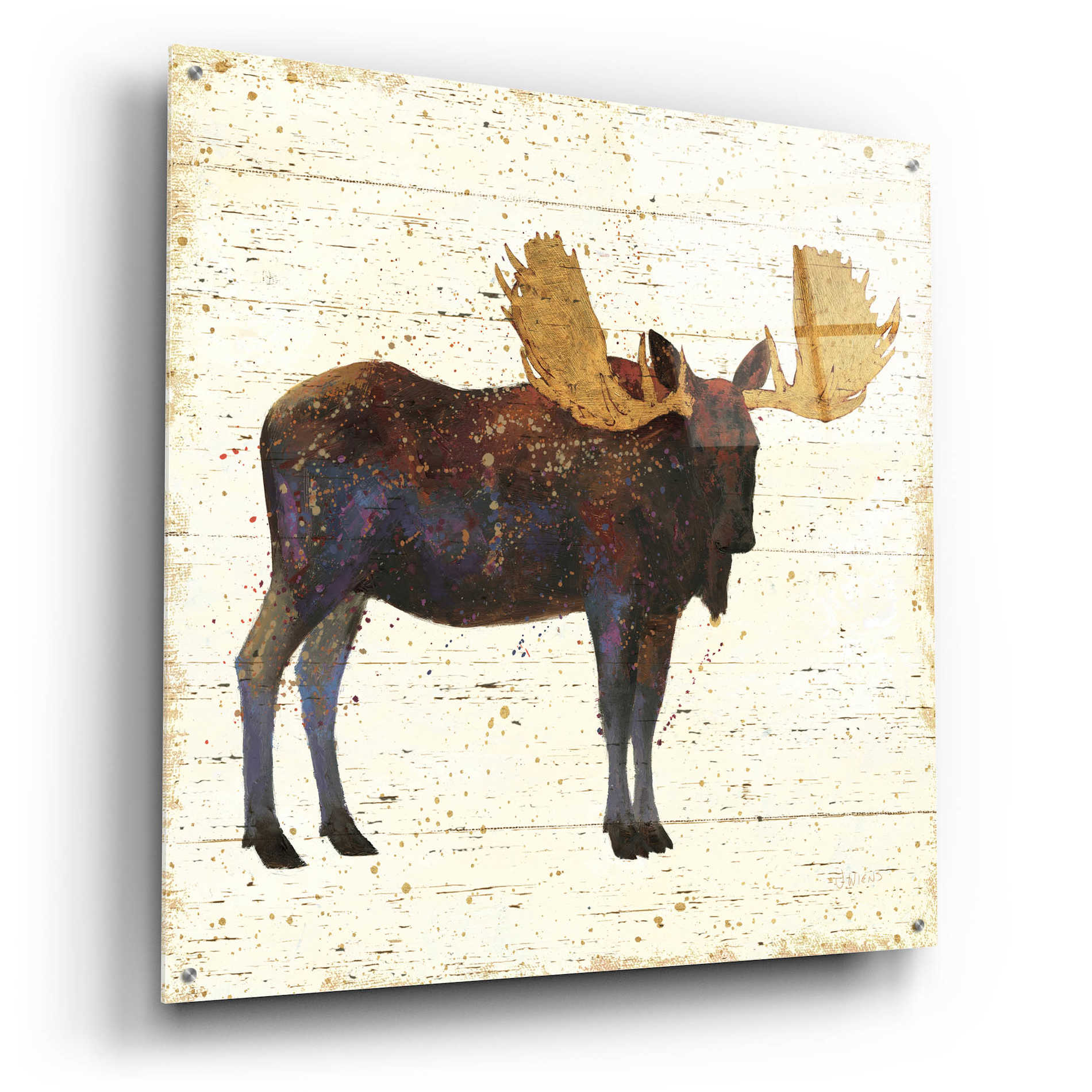 Epic Art 'Golden Nature I' by James Wiens, Acrylic Glass Wall Art,36x36
