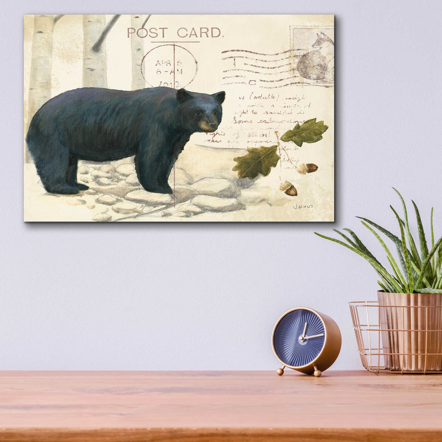 Epic Art 'Northern Wild Bear' by James Wiens, Acrylic Glass Wall Art,16x12