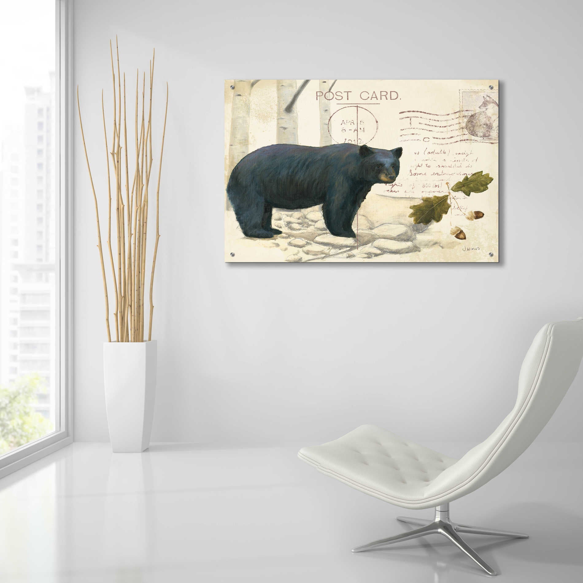 Epic Art 'Northern Wild Bear' by James Wiens, Acrylic Glass Wall Art,36x24