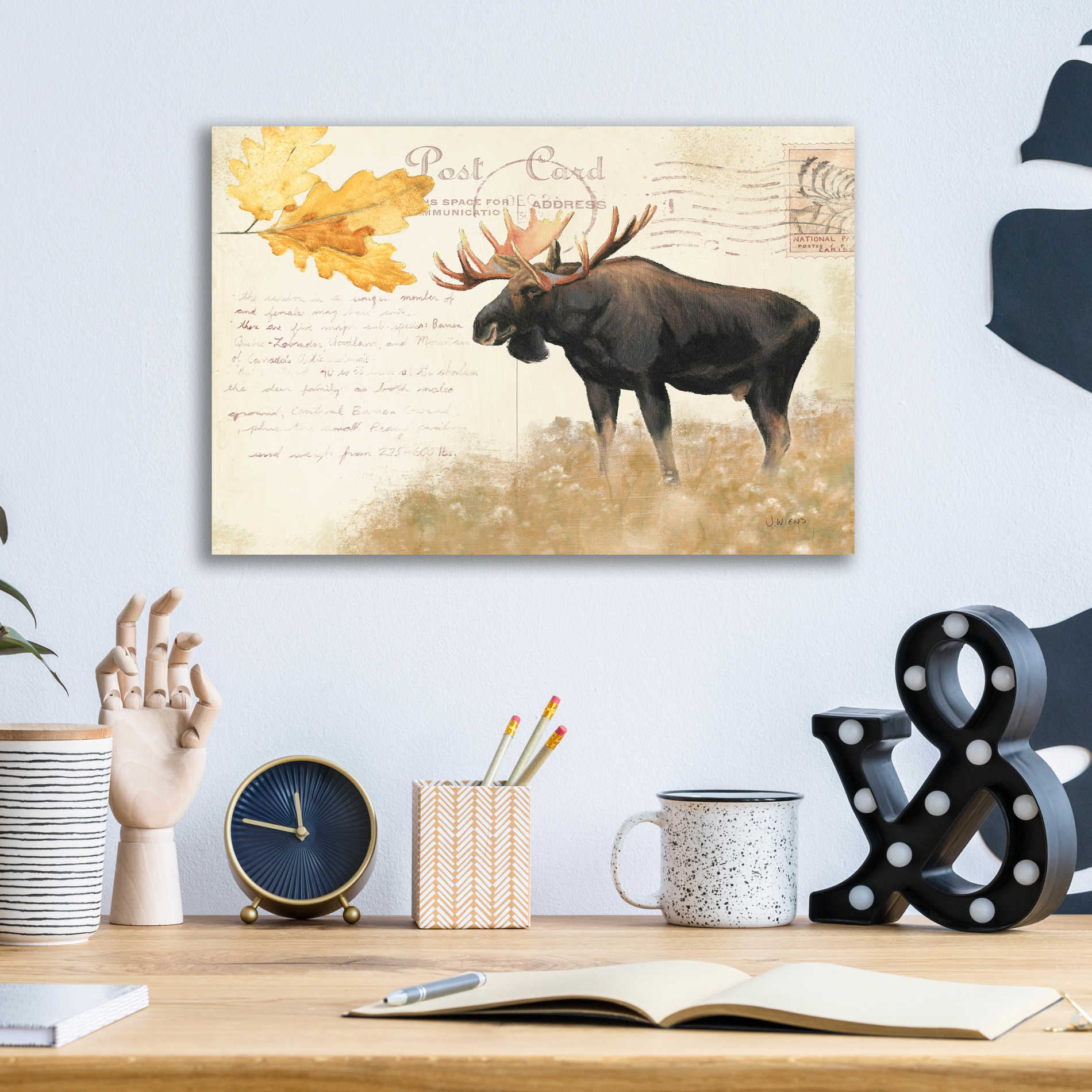 Epic Art 'Northern Wild Moose' by James Wiens, Acrylic Glass Wall Art,16x12