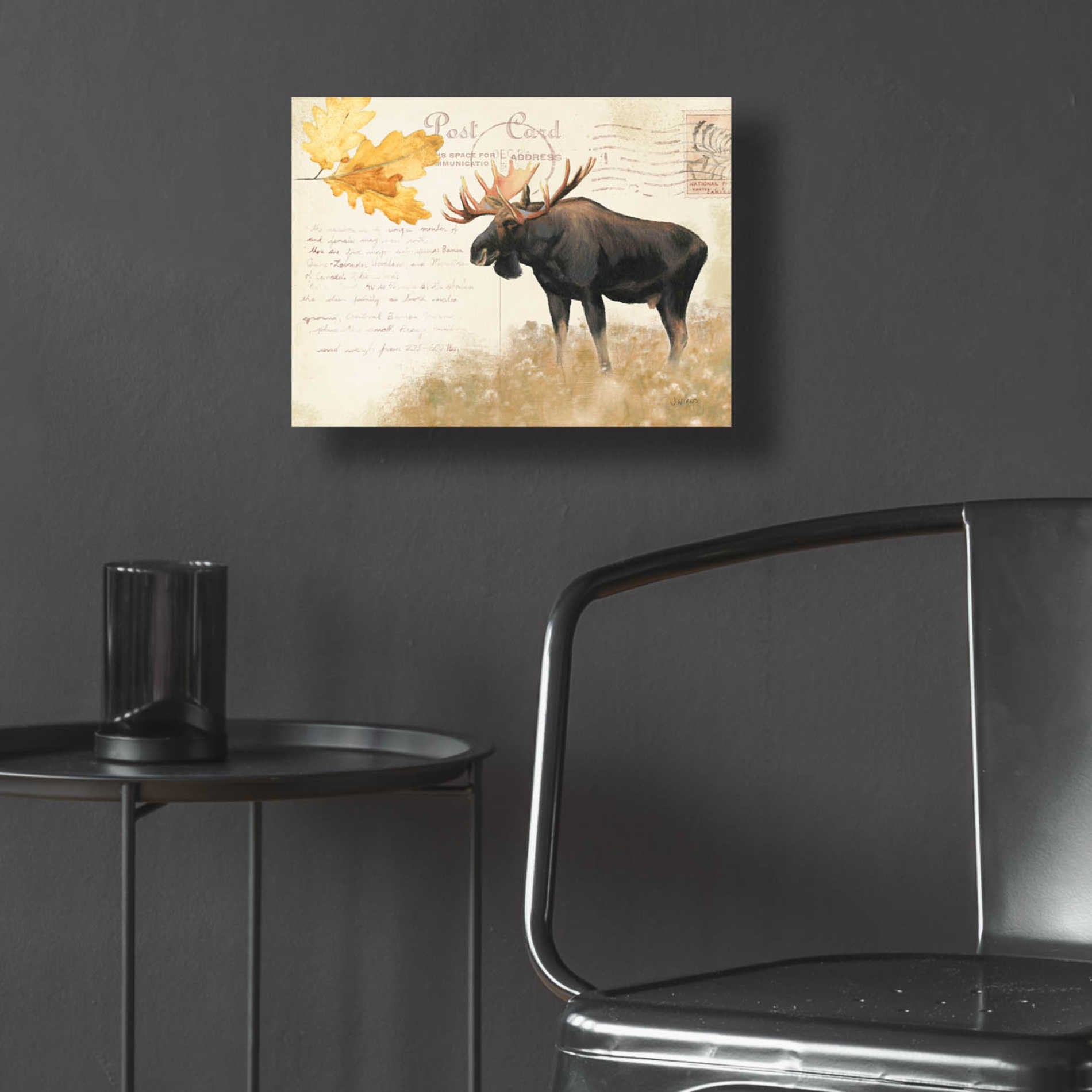 Epic Art 'Northern Wild Moose' by James Wiens, Acrylic Glass Wall Art,16x12