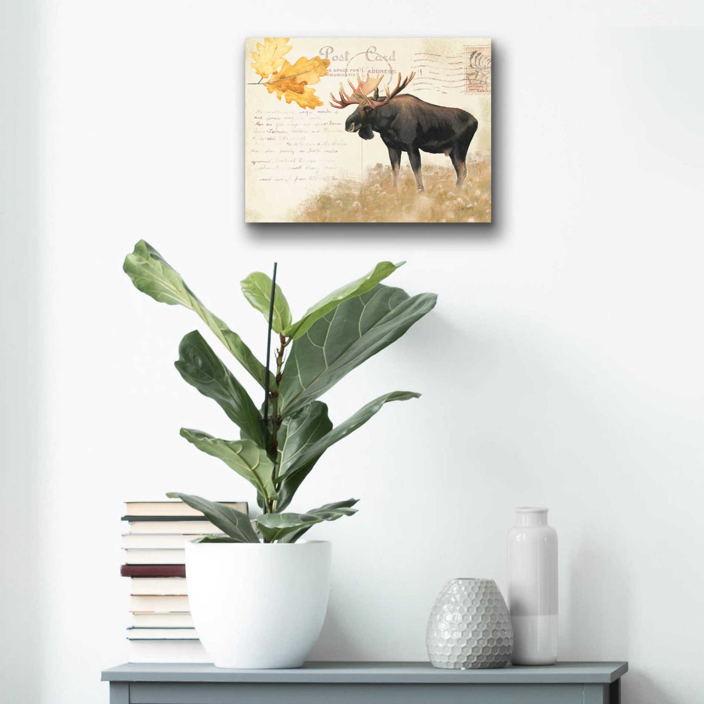 Epic Art 'Northern Wild Moose' by James Wiens, Acrylic Glass Wall Art,16x12