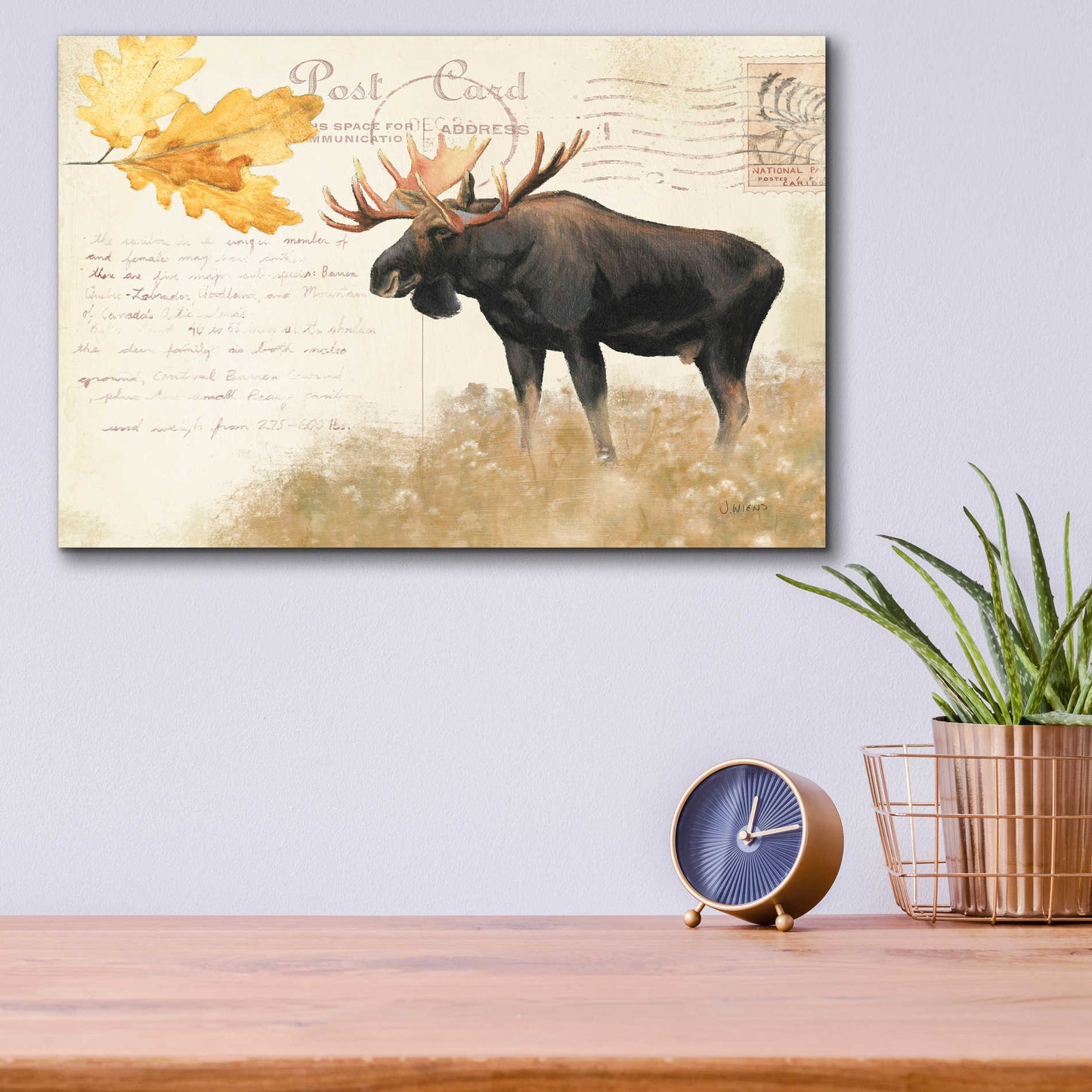 Epic Art 'Northern Wild Moose' by James Wiens, Acrylic Glass Wall Art,16x12