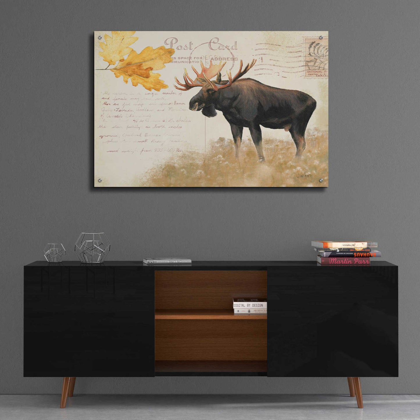 Epic Art 'Northern Wild Moose' by James Wiens, Acrylic Glass Wall Art,36x24