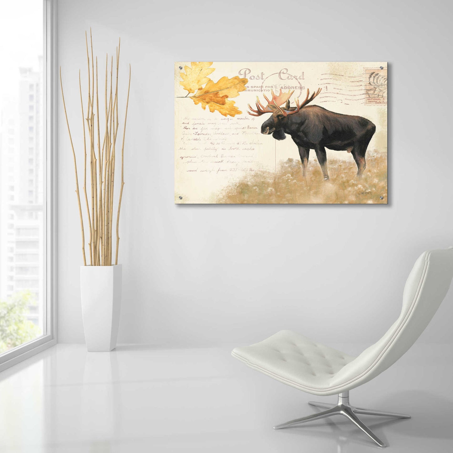 Epic Art 'Northern Wild Moose' by James Wiens, Acrylic Glass Wall Art,36x24