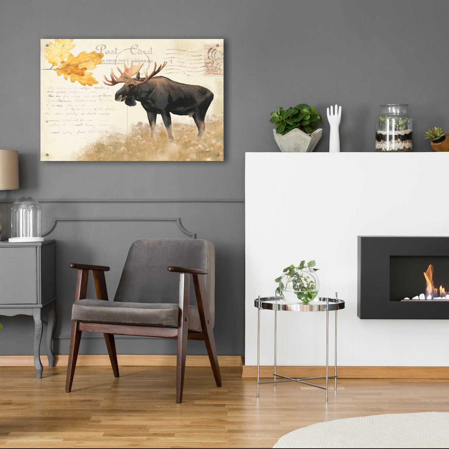 Epic Art 'Northern Wild Moose' by James Wiens, Acrylic Glass Wall Art,36x24