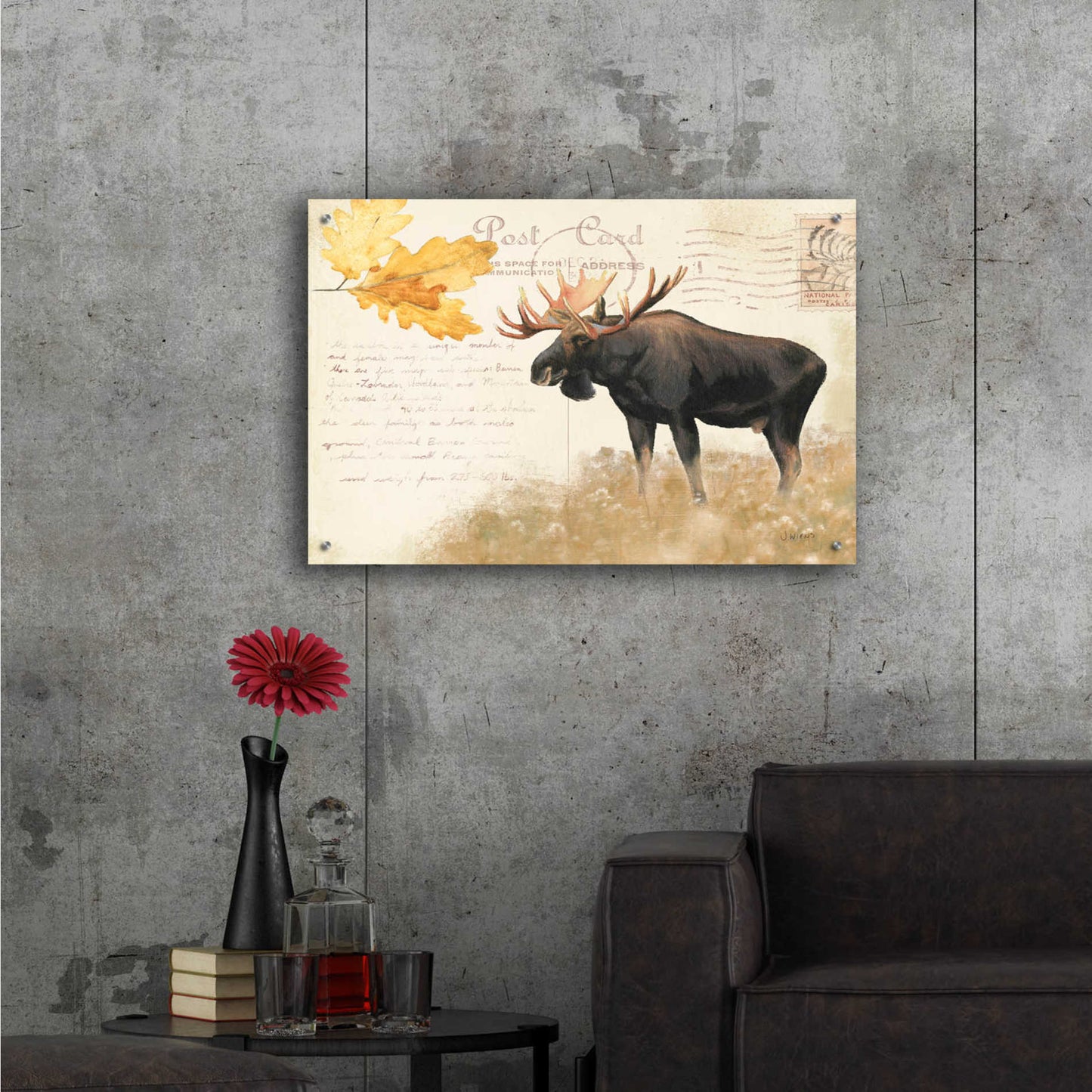 Epic Art 'Northern Wild Moose' by James Wiens, Acrylic Glass Wall Art,36x24