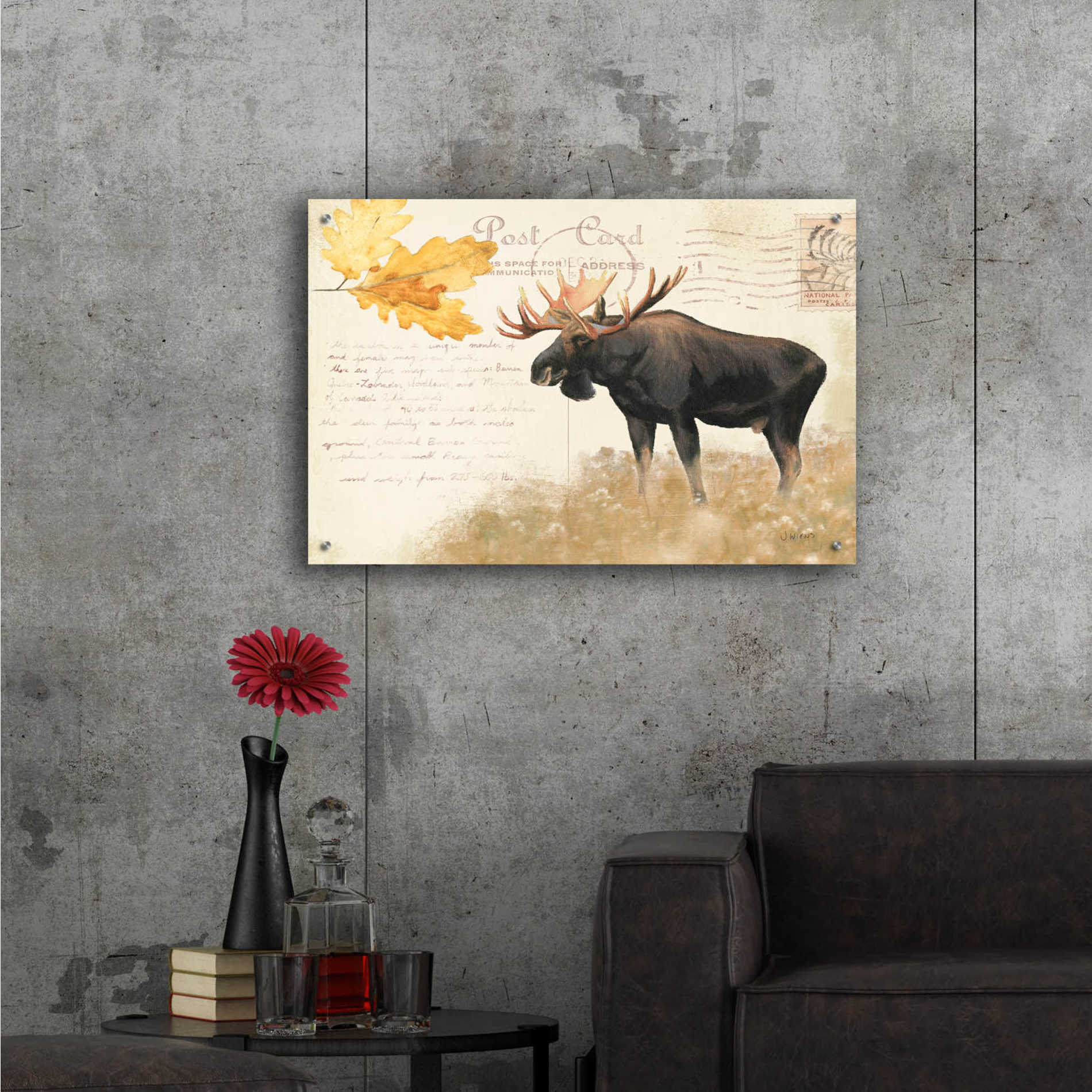 Epic Art 'Northern Wild Moose' by James Wiens, Acrylic Glass Wall Art,36x24