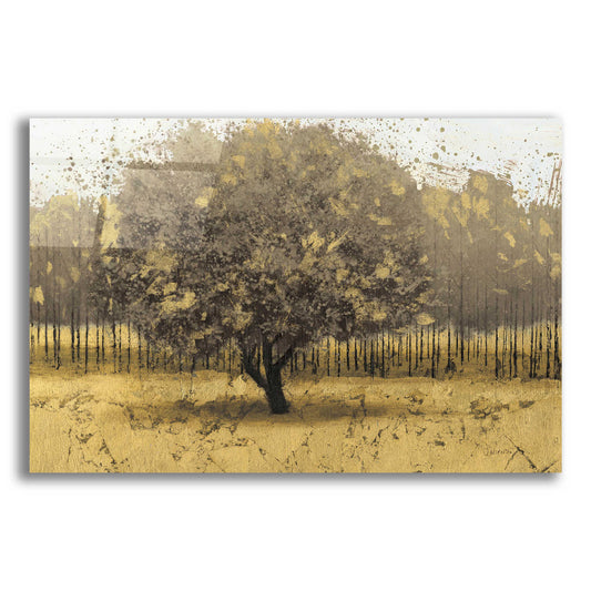 Epic Art 'Golden Trees I' by James Wiens, Acrylic Glass Wall Art,18x12x1.1x0,26x18x1.1x0,40x26x1.74x0,60x40x1.74x0