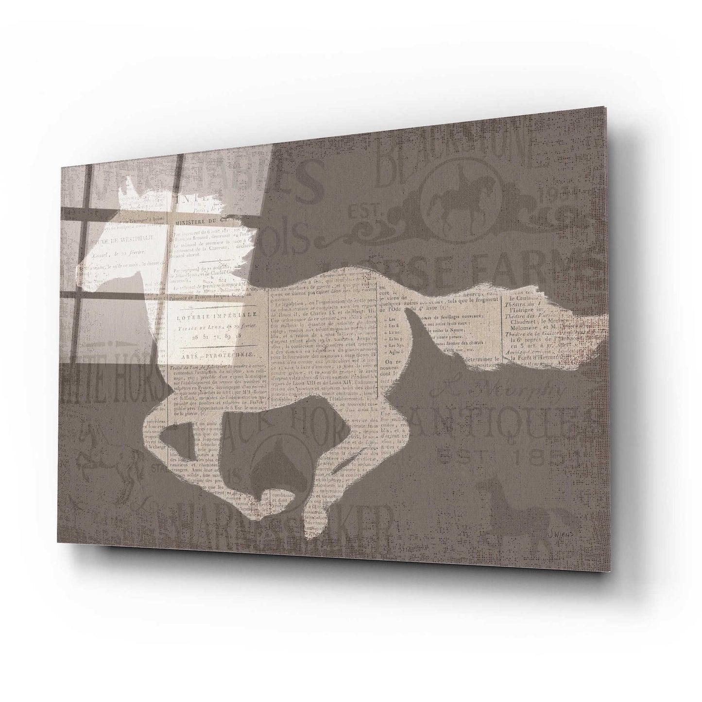 Epic Art 'Equine I' by James Wiens, Acrylic Glass Wall Art,24x16