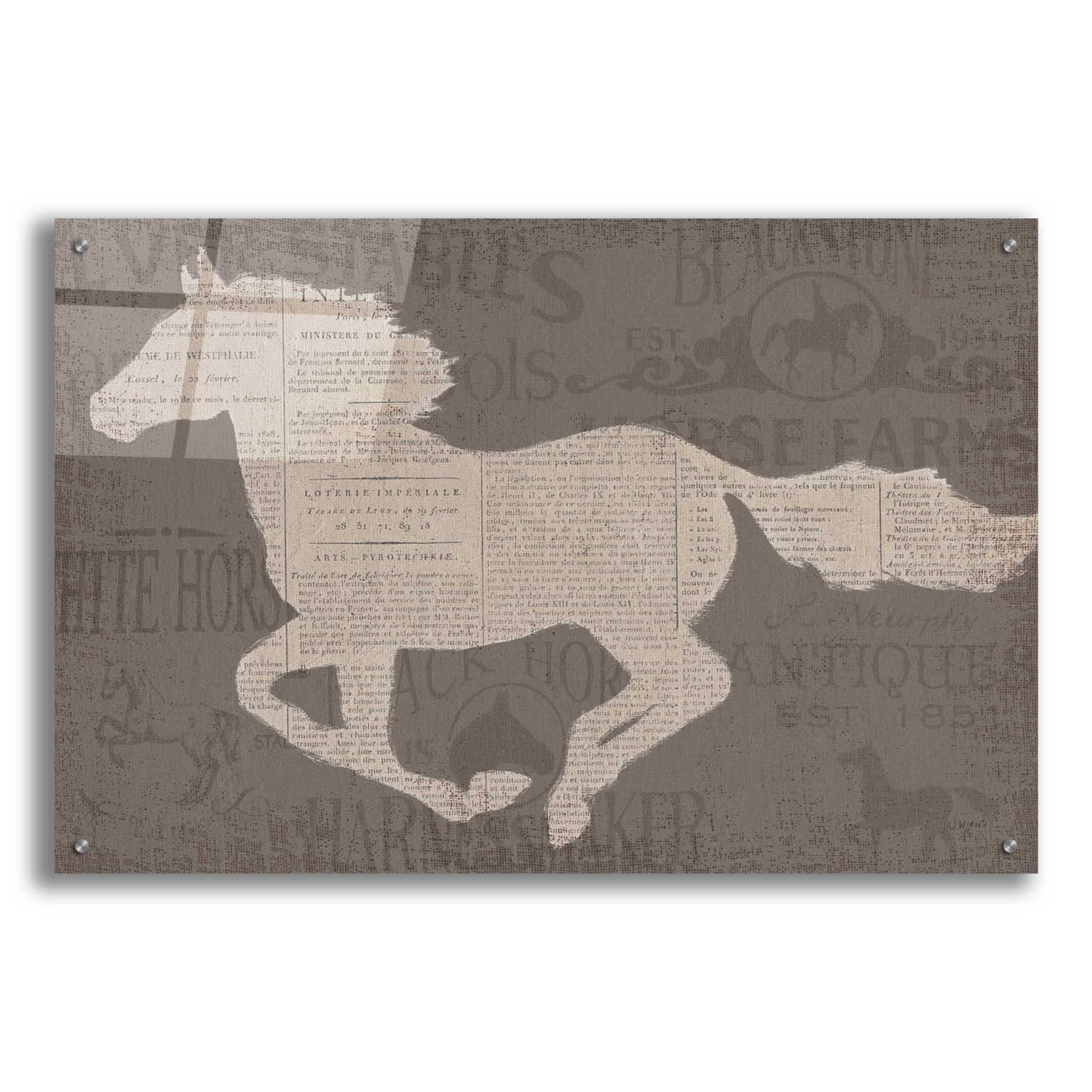 Epic Art 'Equine I' by James Wiens, Acrylic Glass Wall Art,36x24