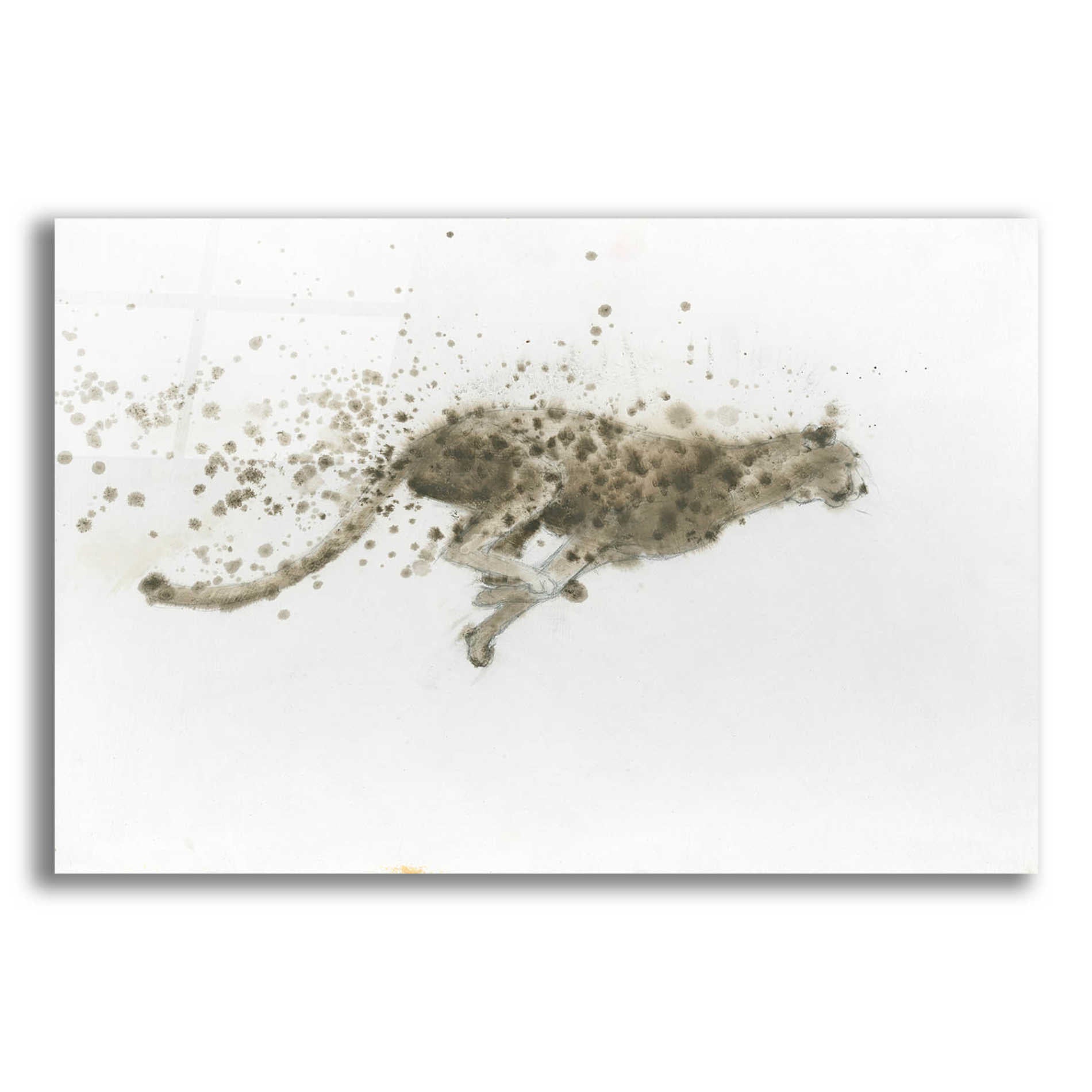 Epic Art 'Cheetah' by James Wiens, Acrylic Glass Wall Art,24x16