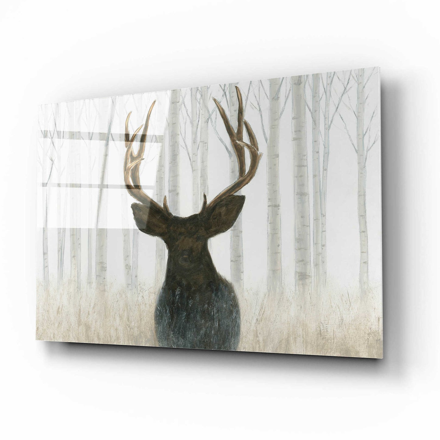 Epic Art 'Into the Forest' by James Wiens, Acrylic Glass Wall Art,16x12