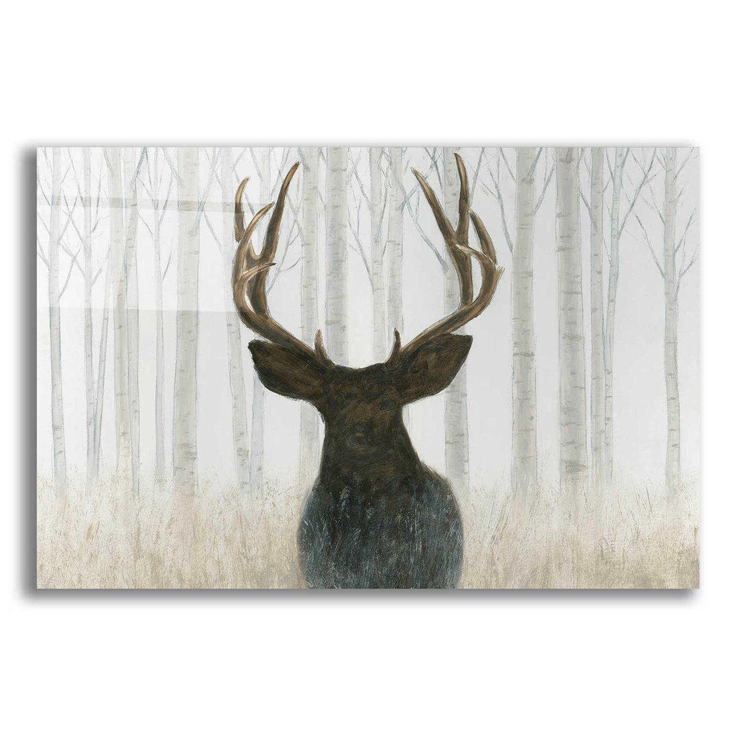 Epic Art 'Into the Forest' by James Wiens, Acrylic Glass Wall Art,16x12