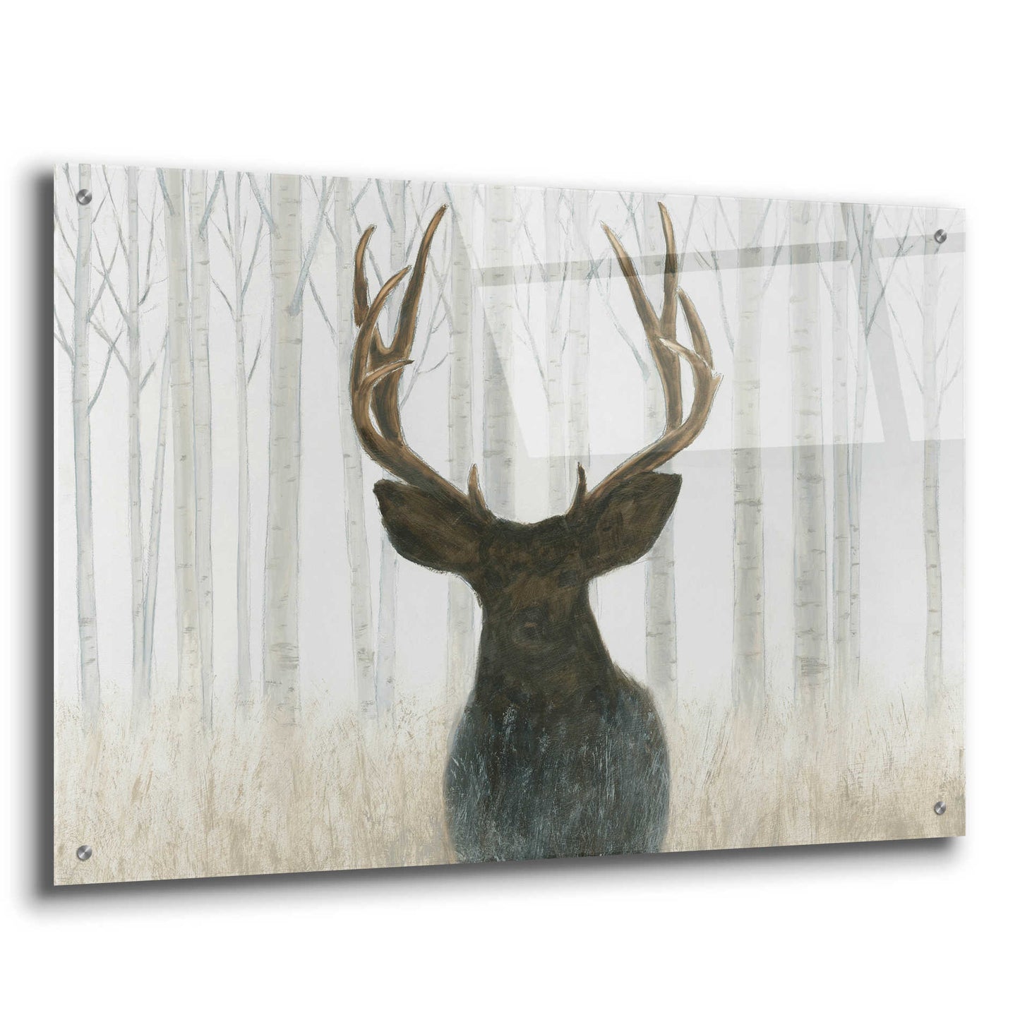 Epic Art 'Into the Forest' by James Wiens, Acrylic Glass Wall Art,36x24