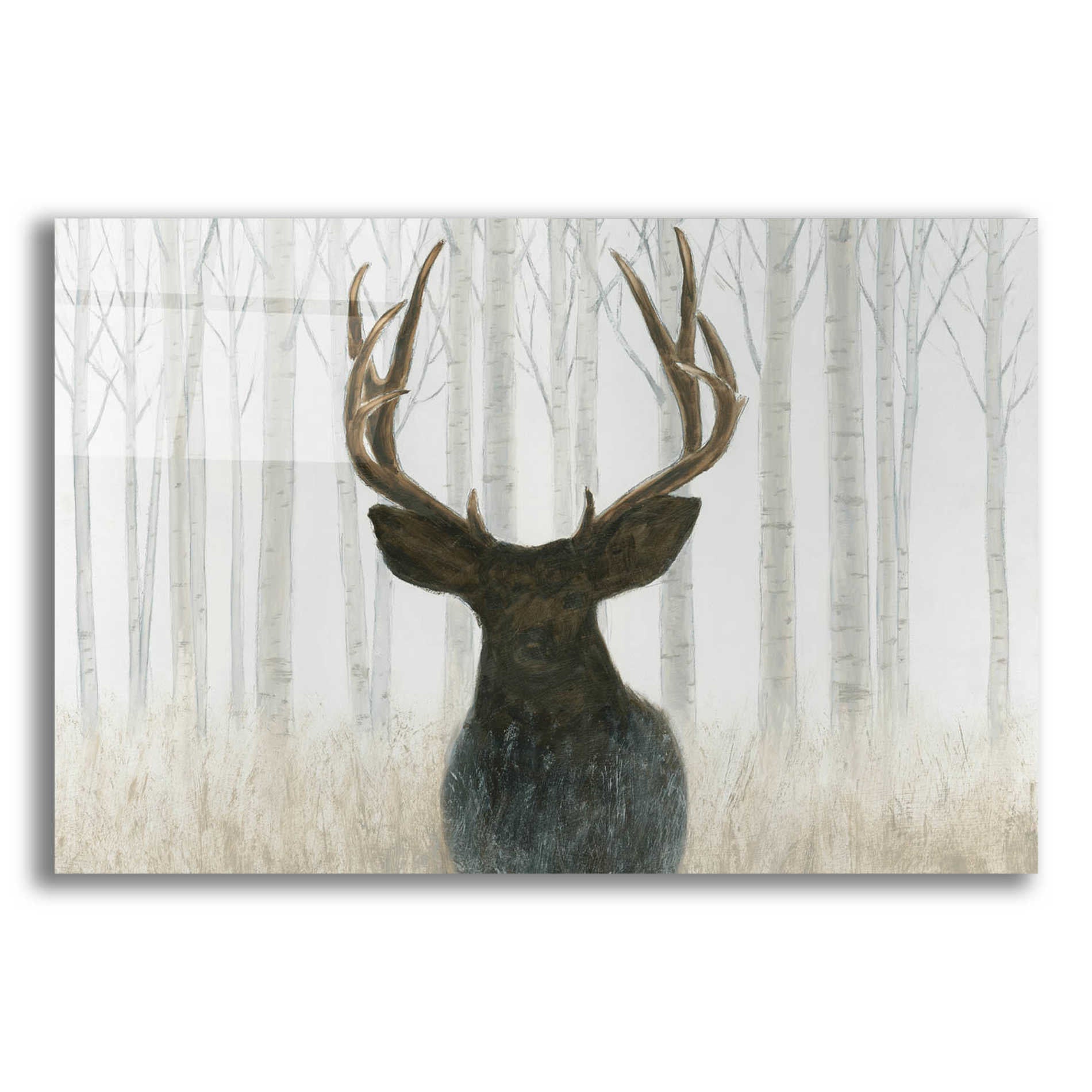 Epic Art 'Into the Forest' by James Wiens, Acrylic Glass Wall Art,16x12x1.1x0,26x18x1.1x0,34x26x1.74x0,54x40x1.74x0