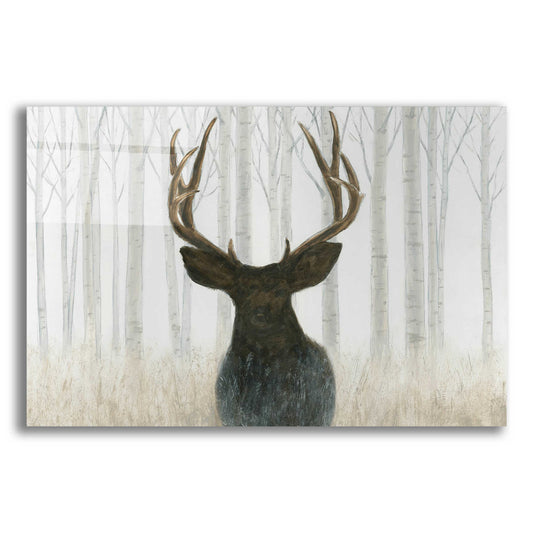 Epic Art 'Into the Forest' by James Wiens, Acrylic Glass Wall Art,16x12x1.1x0,26x18x1.1x0,34x26x1.74x0,54x40x1.74x0