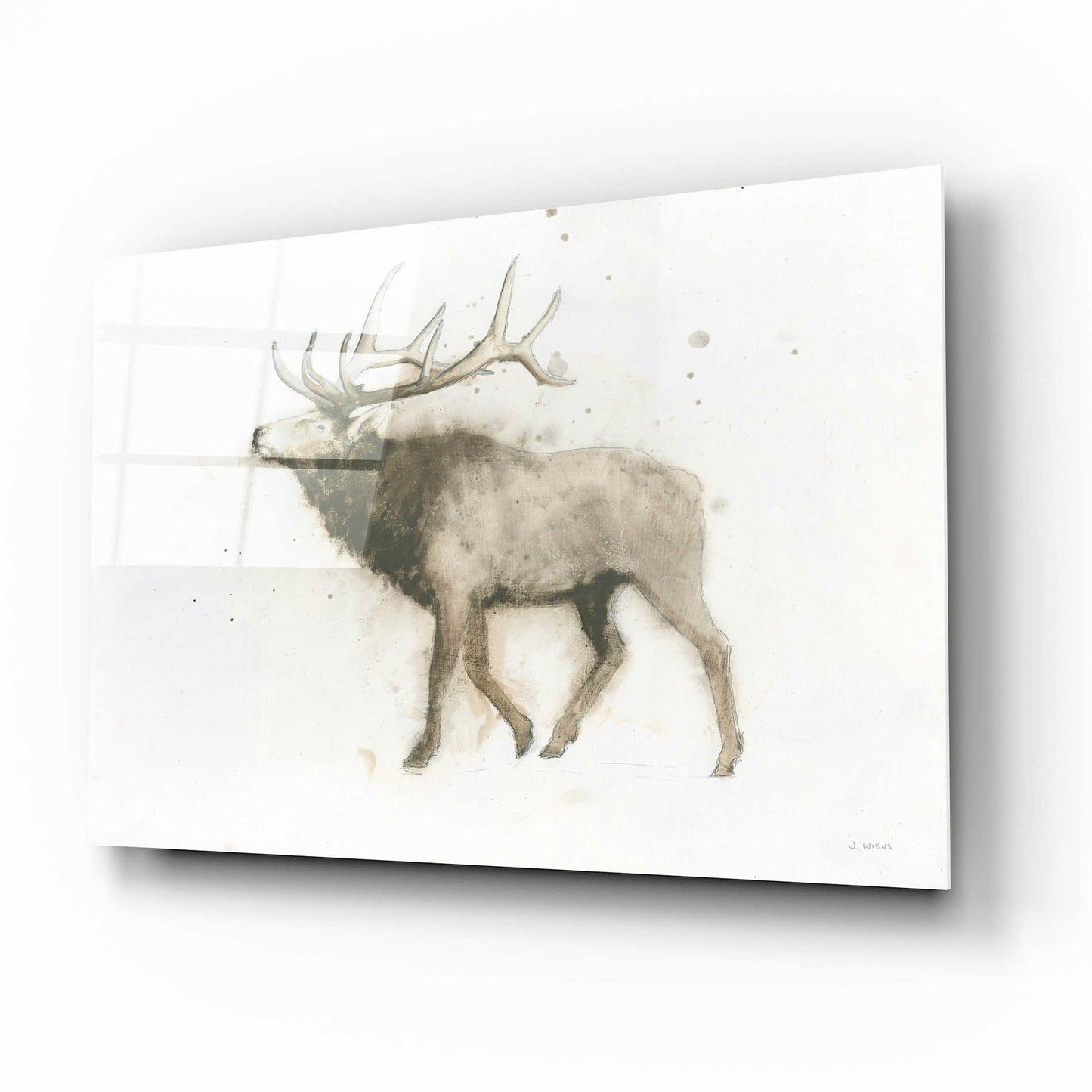 Epic Art 'Elk' by James Wiens, Acrylic Glass Wall Art,16x12