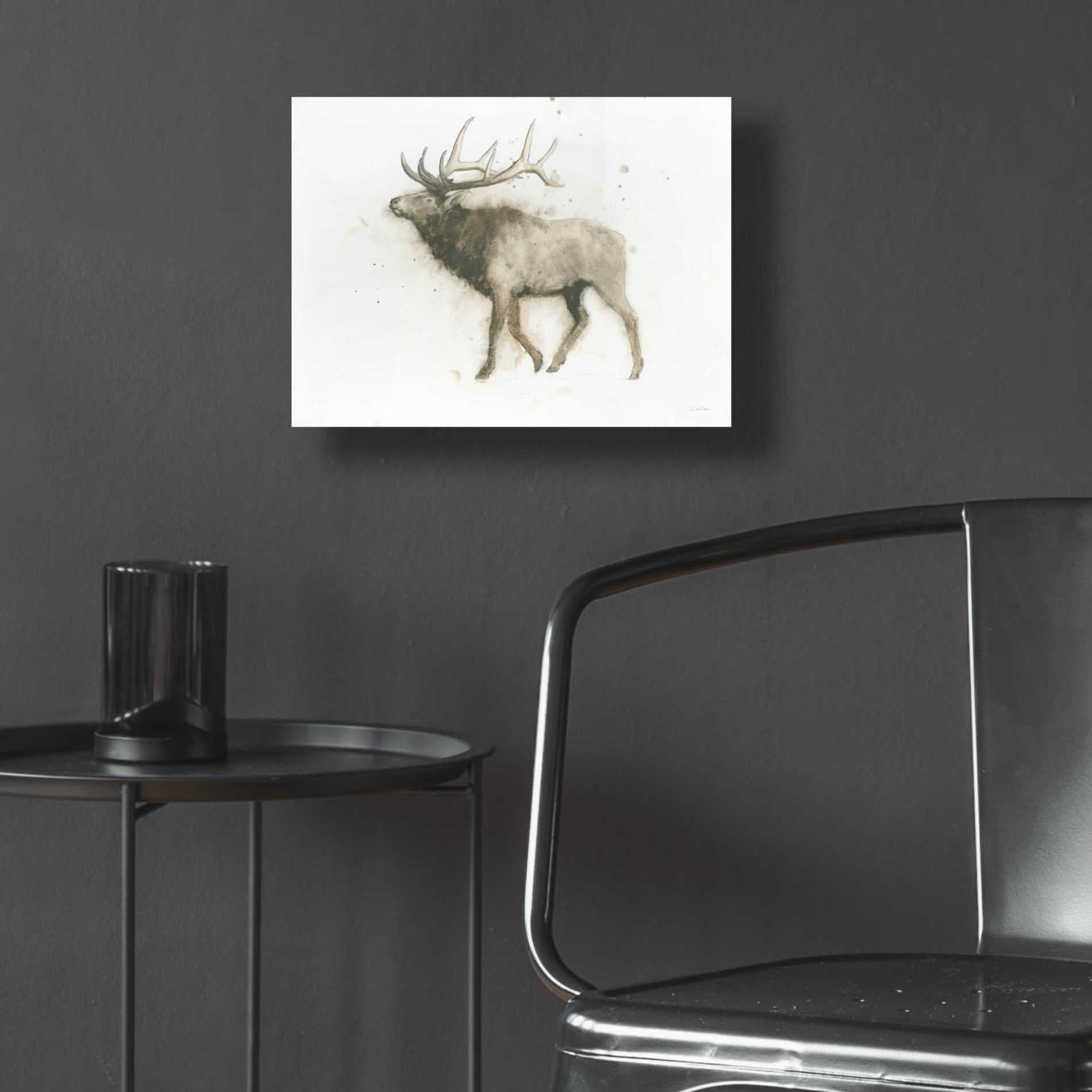 Epic Art 'Elk' by James Wiens, Acrylic Glass Wall Art,16x12