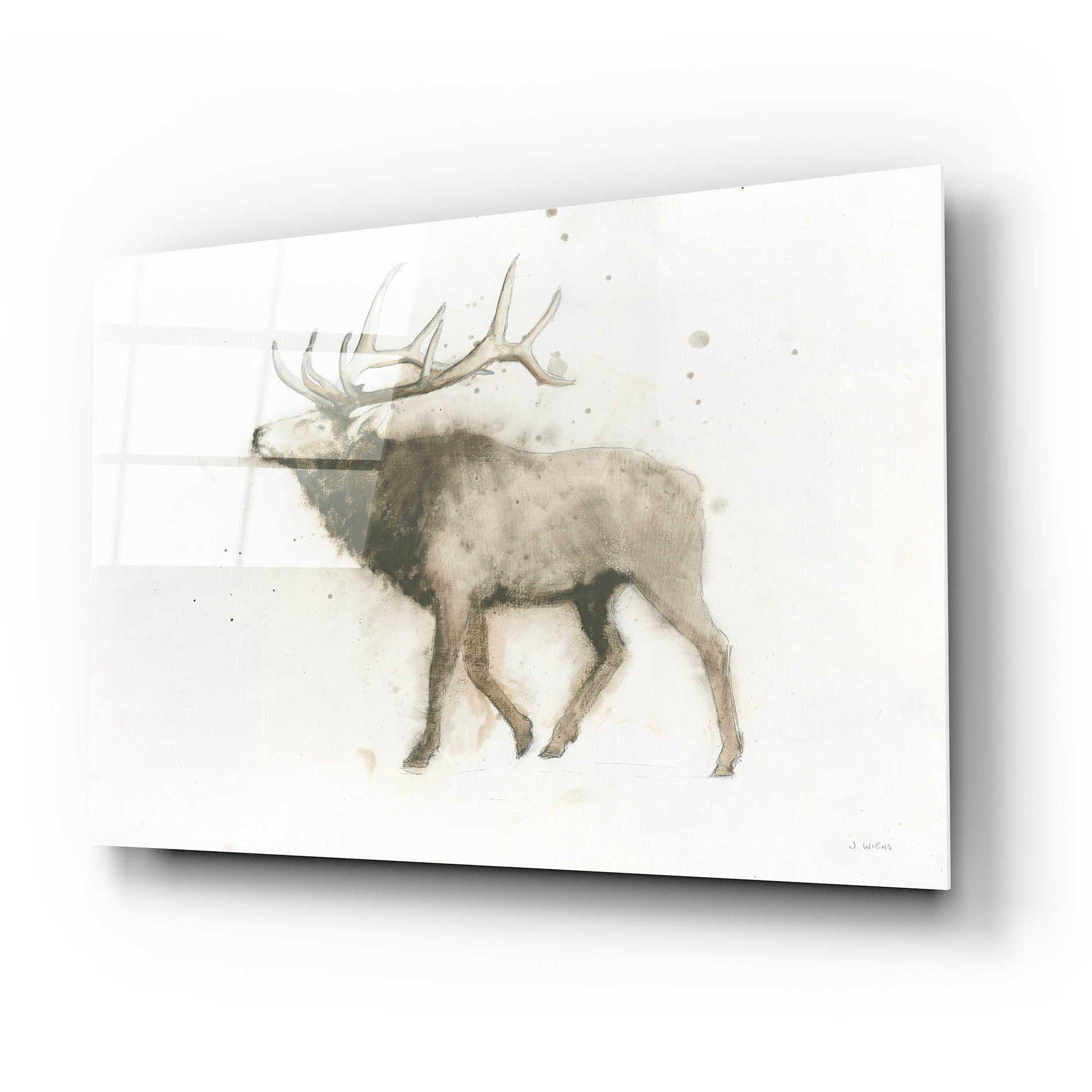 Epic Art 'Elk' by James Wiens, Acrylic Glass Wall Art,24x16