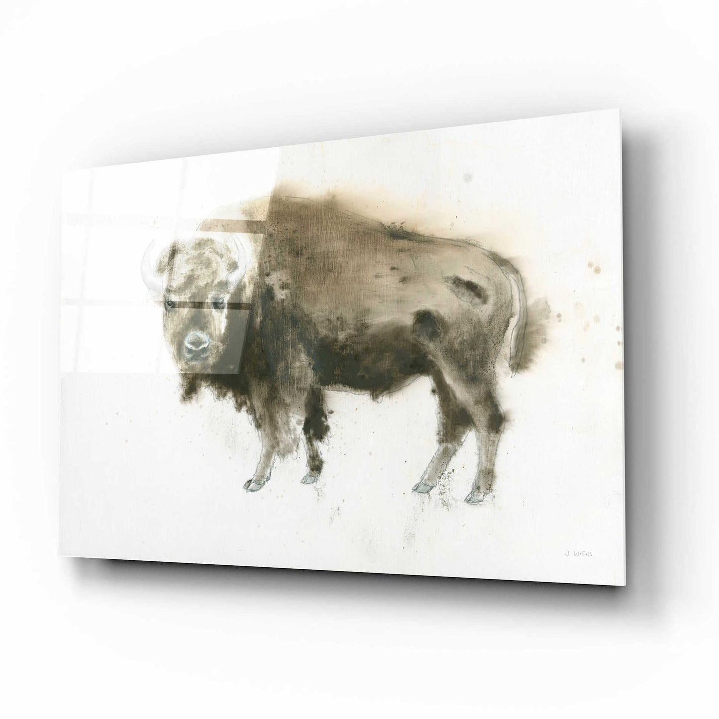 Epic Art 'Buffalo Bill' by James Wiens, Acrylic Glass Wall Art,16x12