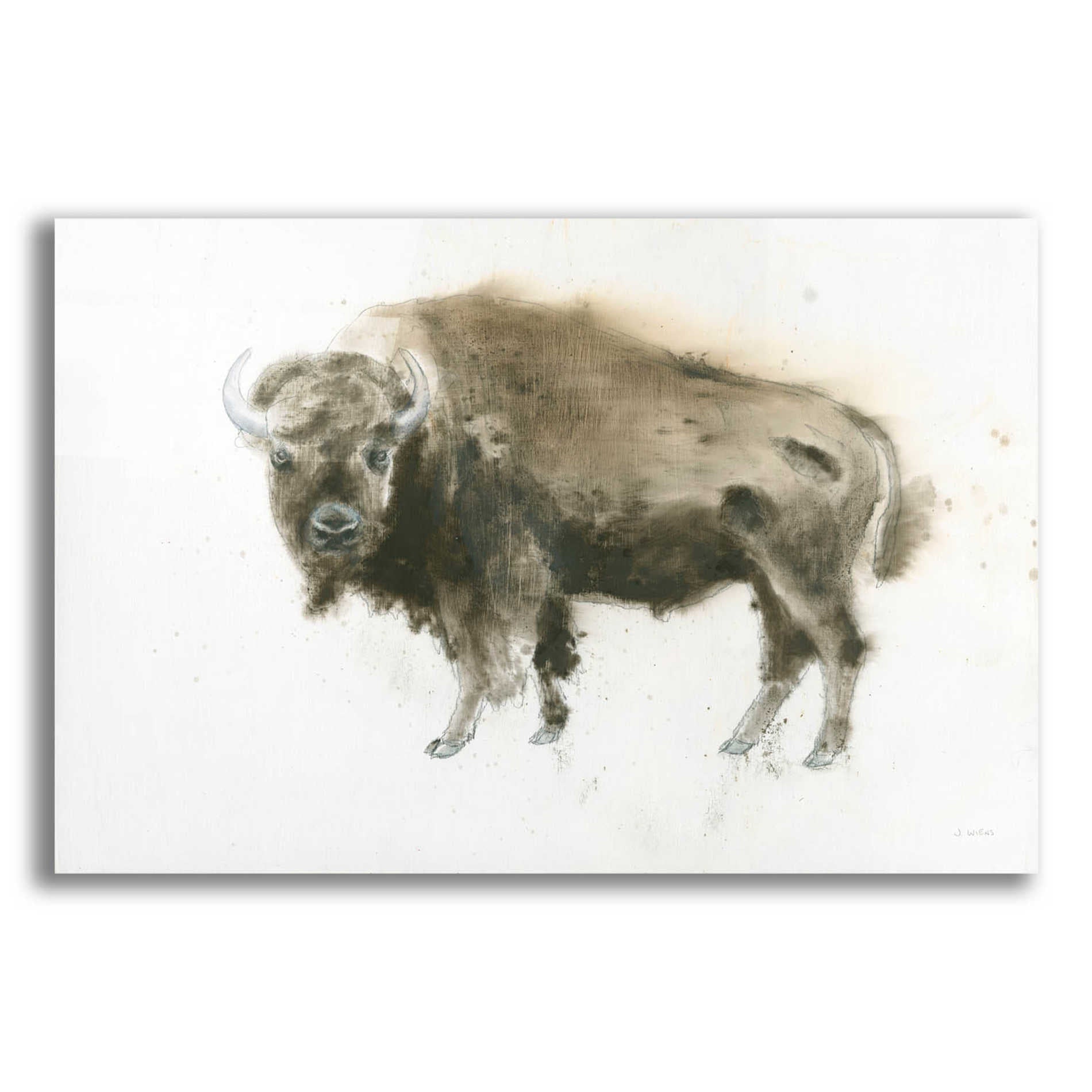 Epic Art 'Buffalo Bill' by James Wiens, Acrylic Glass Wall Art,16x12