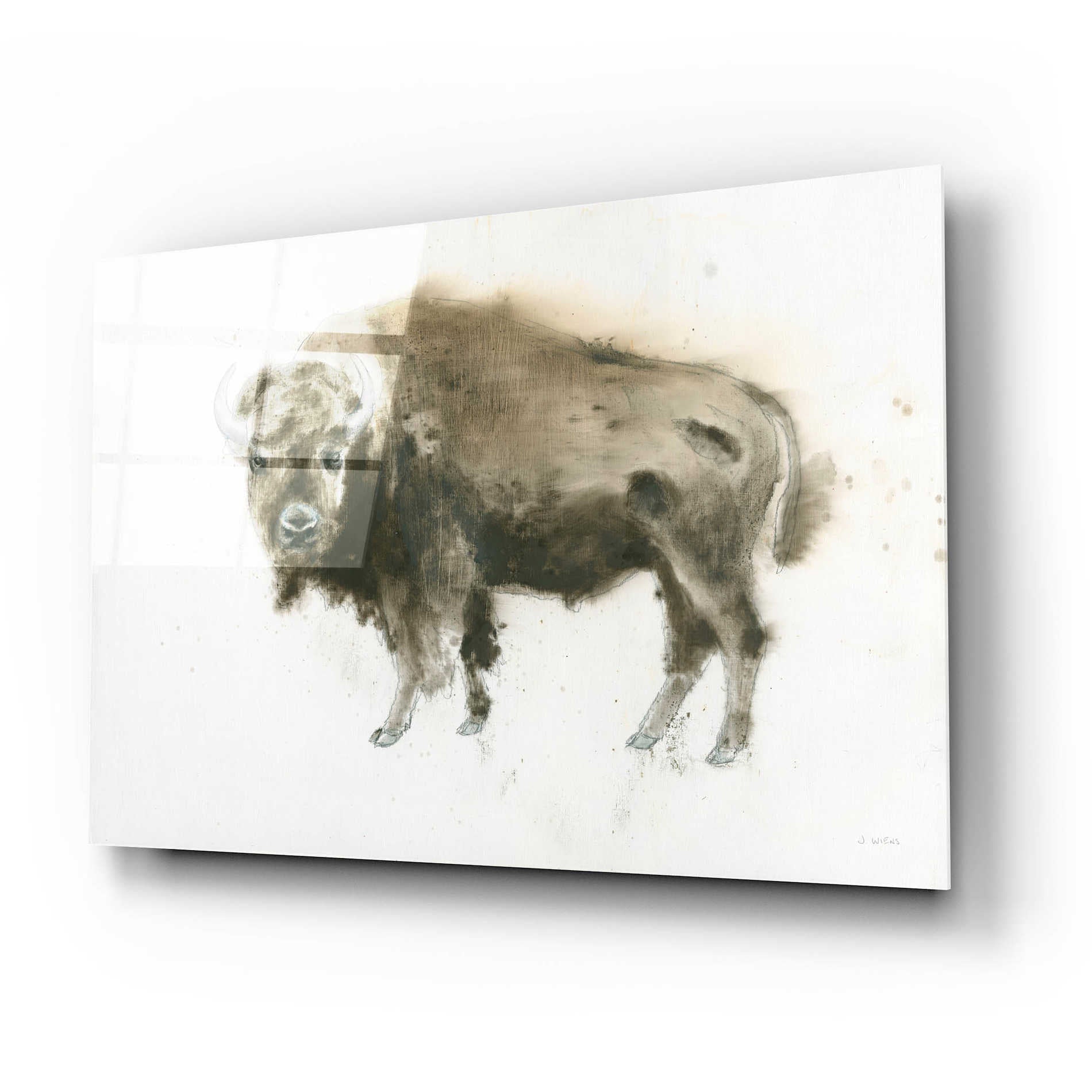 Epic Art 'Buffalo Bill' by James Wiens, Acrylic Glass Wall Art,24x16