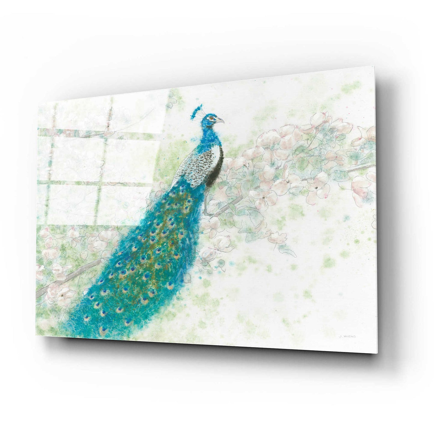 Epic Art 'Spring Peacock I' by James Wiens, Acrylic Glass Wall Art,24x16