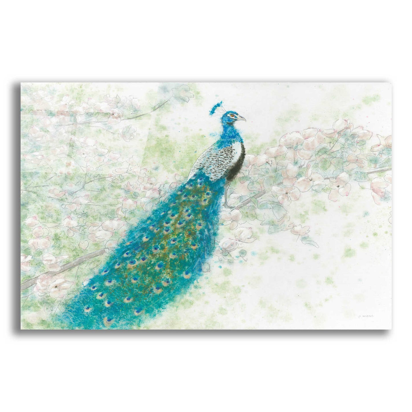 Epic Art 'Spring Peacock I' by James Wiens, Acrylic Glass Wall Art,16x12x1.1x0,26x18x1.1x0,34x26x1.74x0,54x40x1.74x0