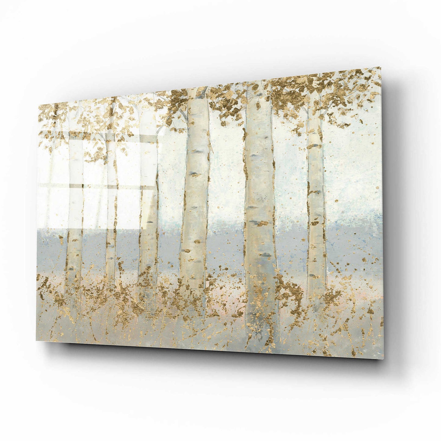 Epic Art 'Magnificent Birch Grove' by James Wiens, Acrylic Glass Wall Art,16x12