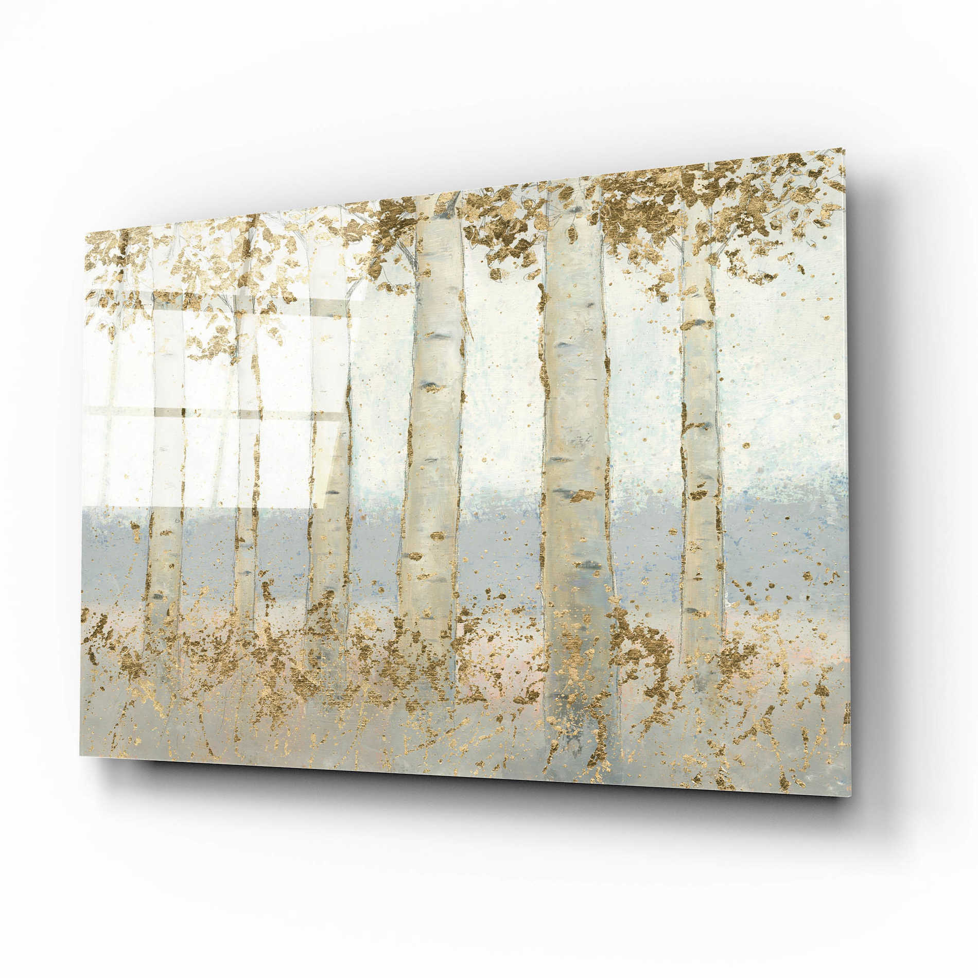 Epic Art 'Magnificent Birch Grove' by James Wiens, Acrylic Glass Wall Art,16x12