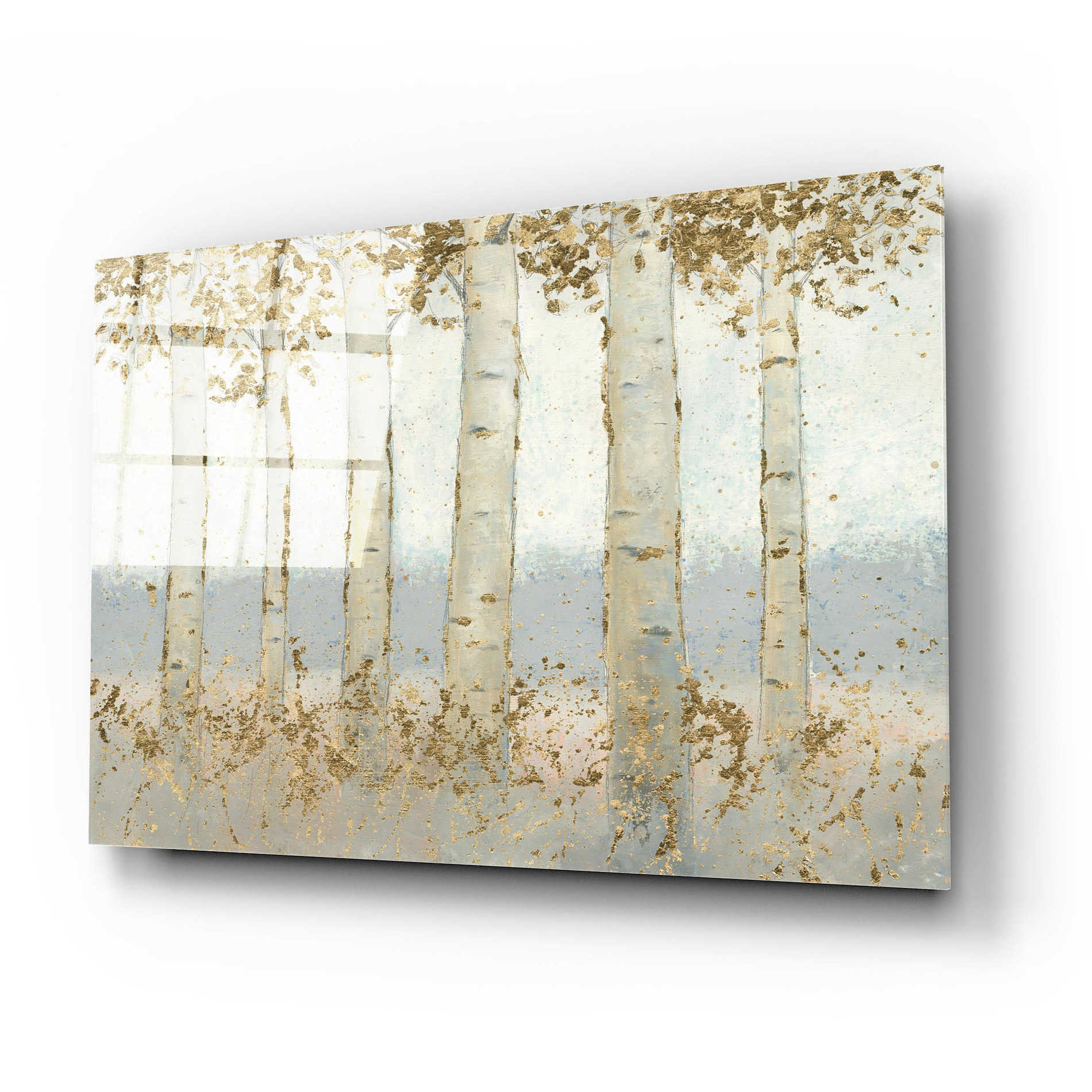 Epic Art 'Magnificent Birch Grove' by James Wiens, Acrylic Glass Wall Art,24x16