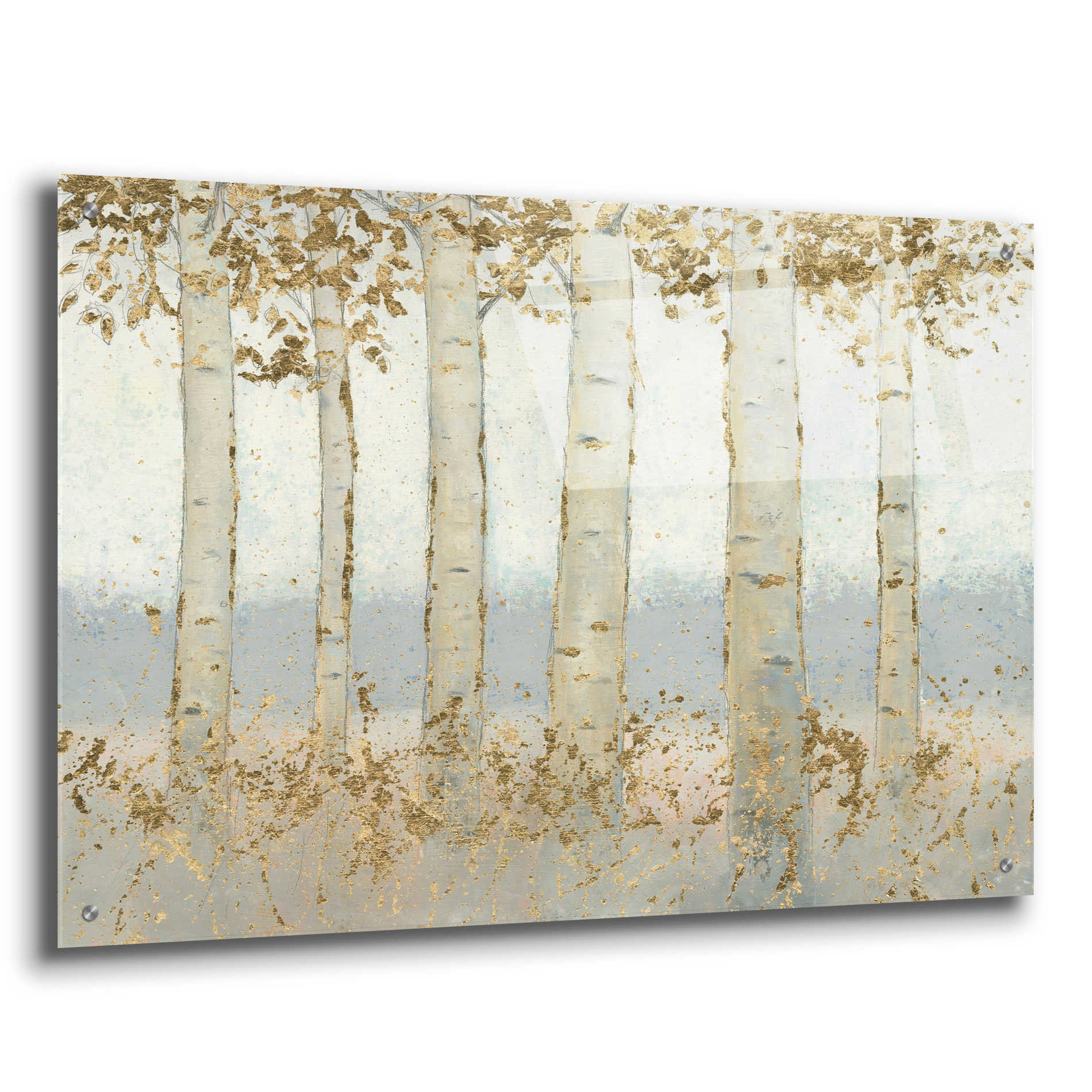 Epic Art 'Magnificent Birch Grove' by James Wiens, Acrylic Glass Wall Art,36x24