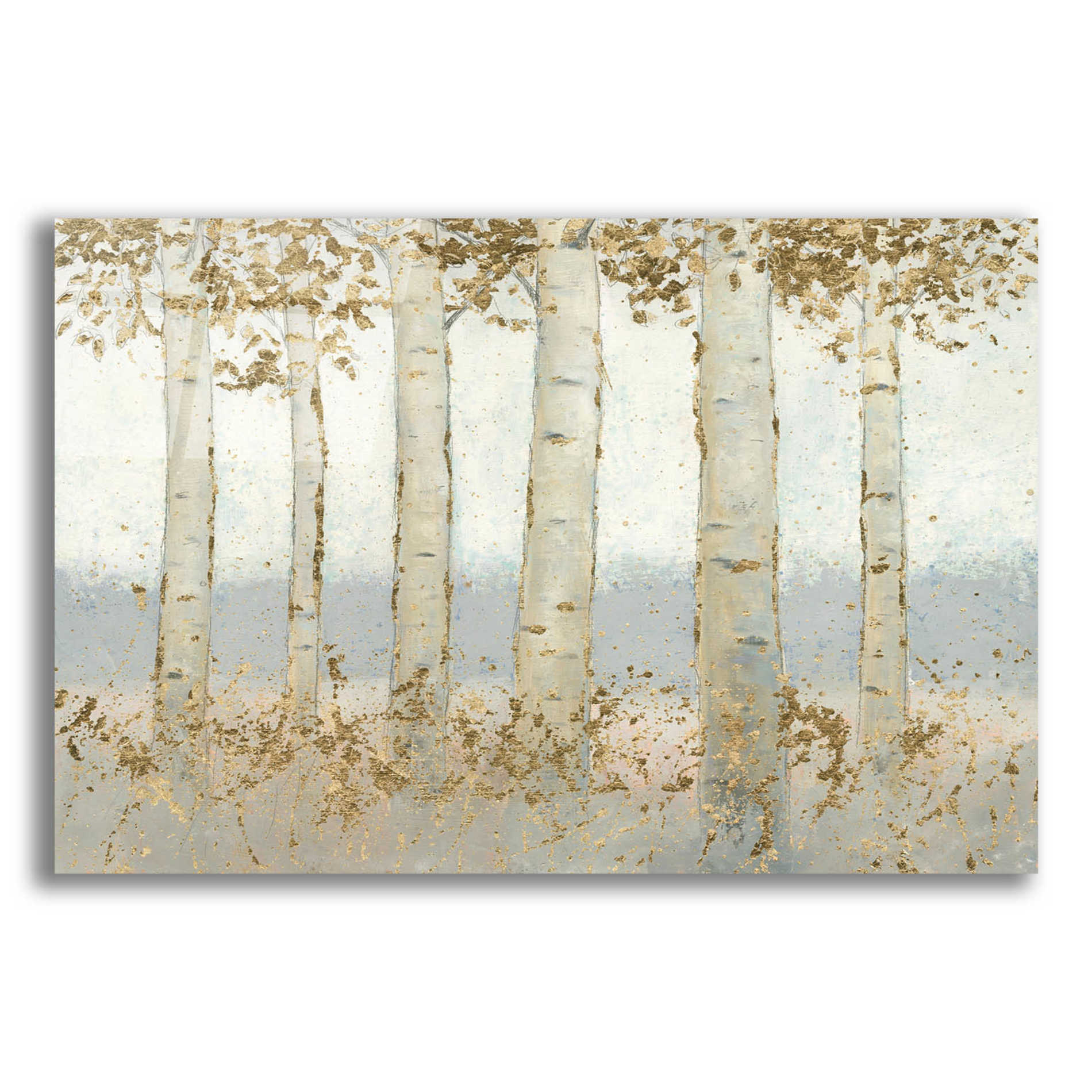 Epic Art 'Magnificent Birch Grove' by James Wiens, Acrylic Glass Wall Art,16x12x1.1x0,26x18x1.1x0,34x26x1.74x0,54x40x1.74x0