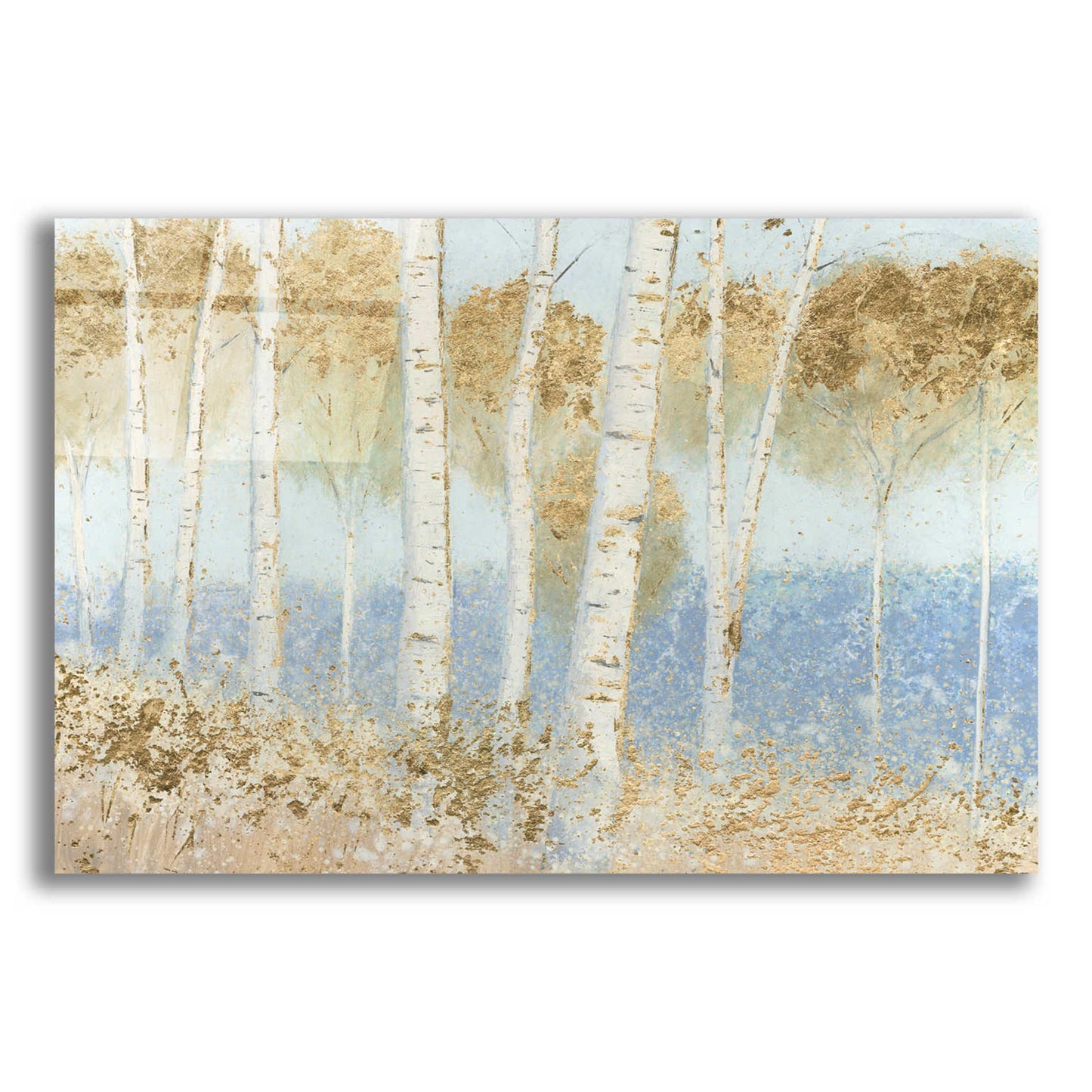 Epic Art 'Summer Birches' by James Wiens, Acrylic Glass Wall Art,16x12