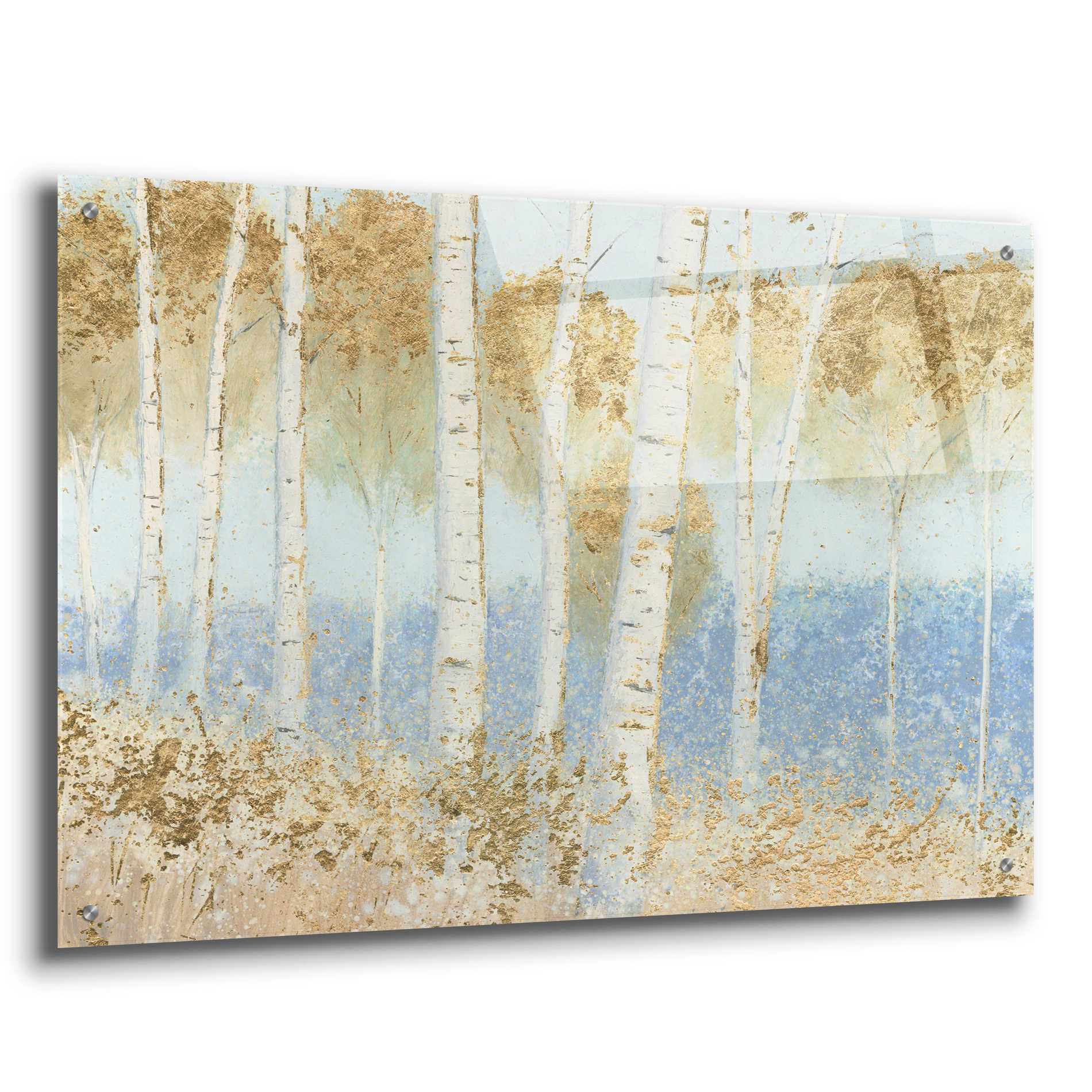 Epic Art 'Summer Birches' by James Wiens, Acrylic Glass Wall Art,36x24