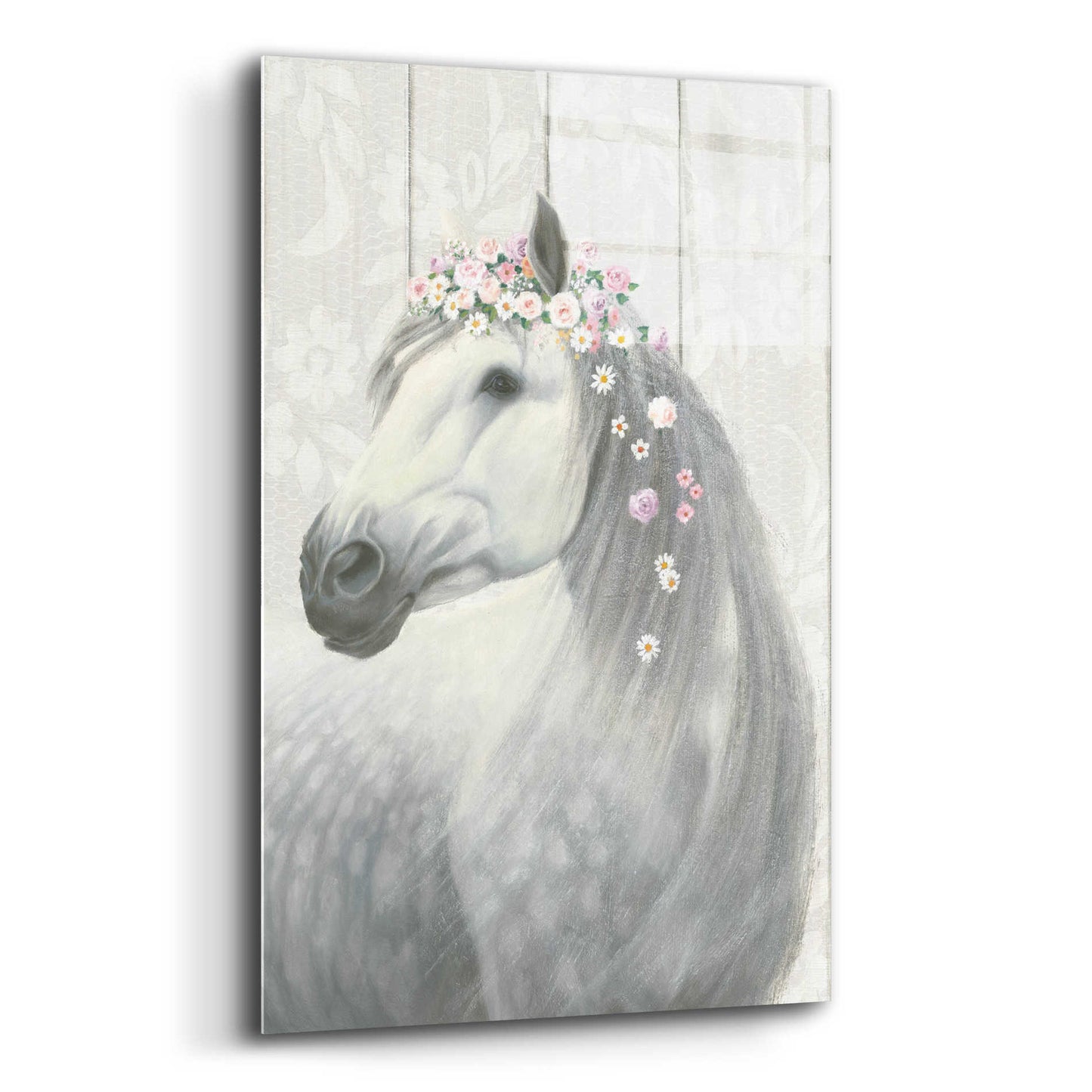 Epic Art 'Spirit Stallion II on wood' by James Wiens, Acrylic Glass Wall Art,12x16