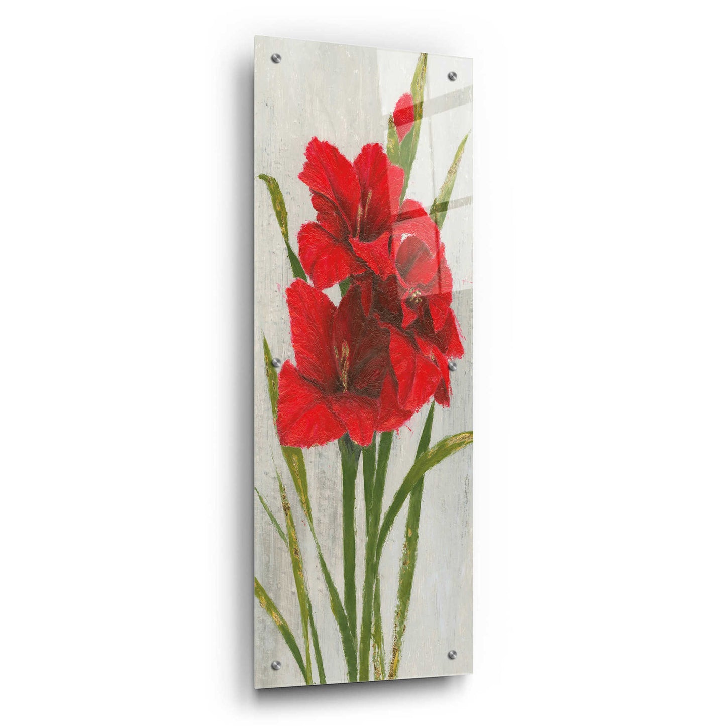 Epic Art 'Red Simplicity I' by James Wiens, Acrylic Glass Wall Art,12x36