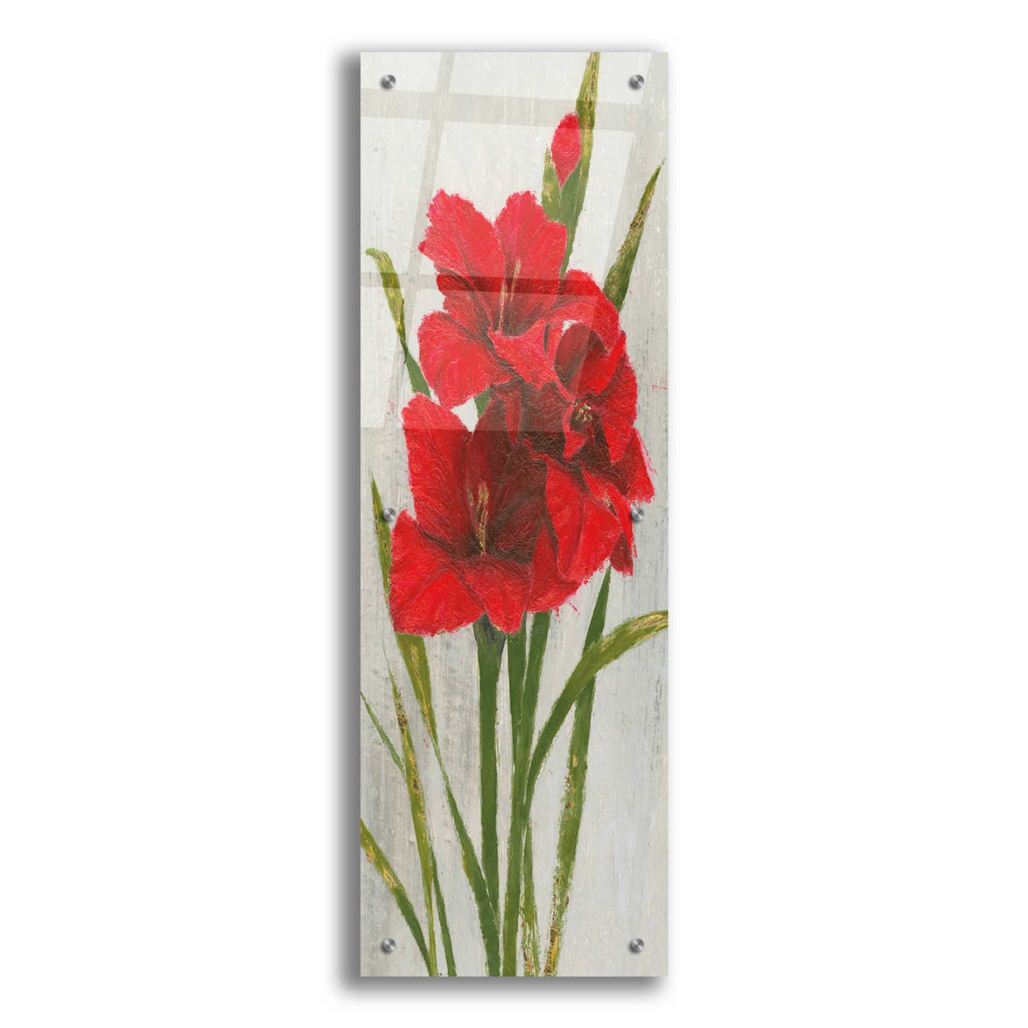 Epic Art 'Red Simplicity I' by James Wiens, Acrylic Glass Wall Art,12x36