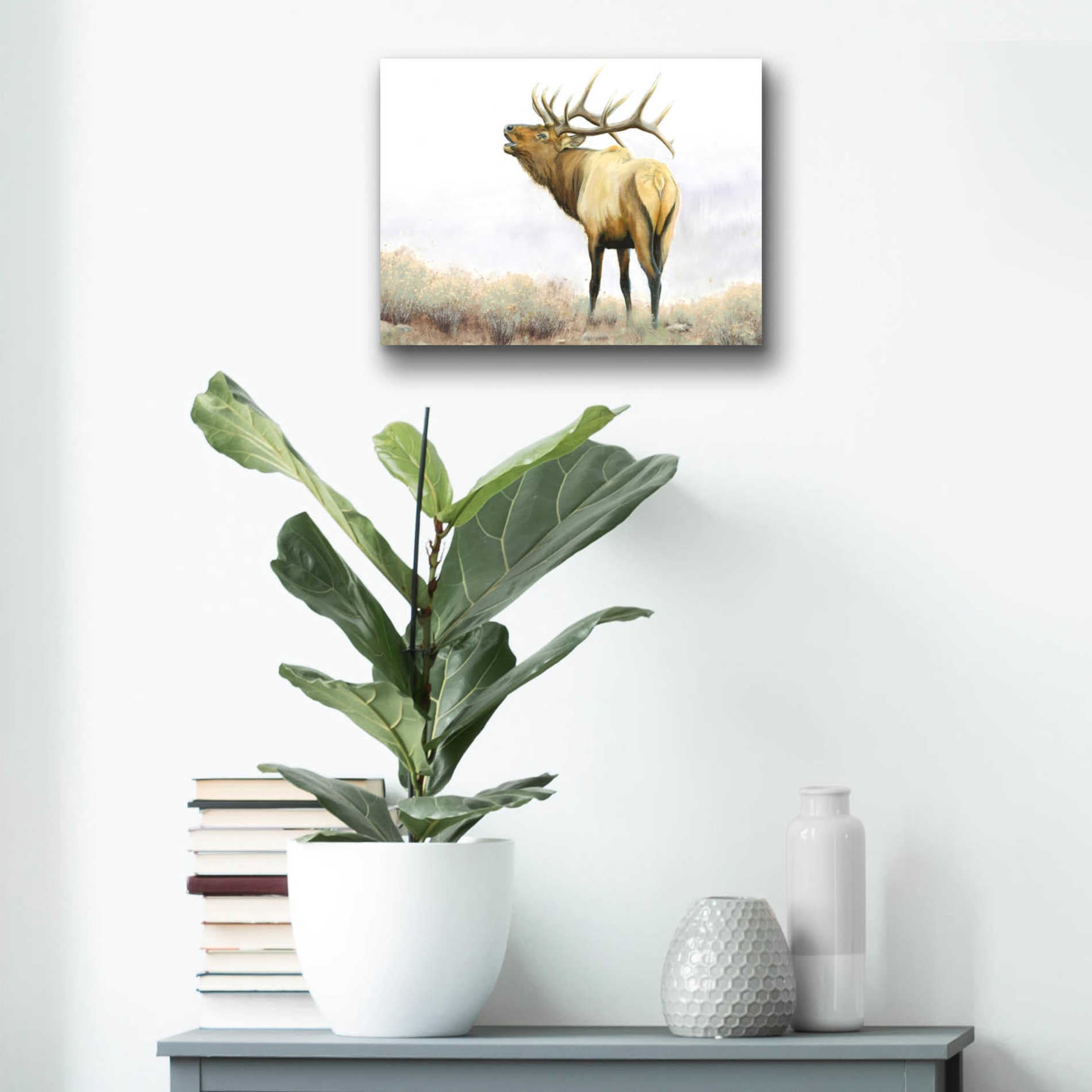 Epic Art 'Majestic Elk' by James Wiens, Acrylic Glass Wall Art,16x12