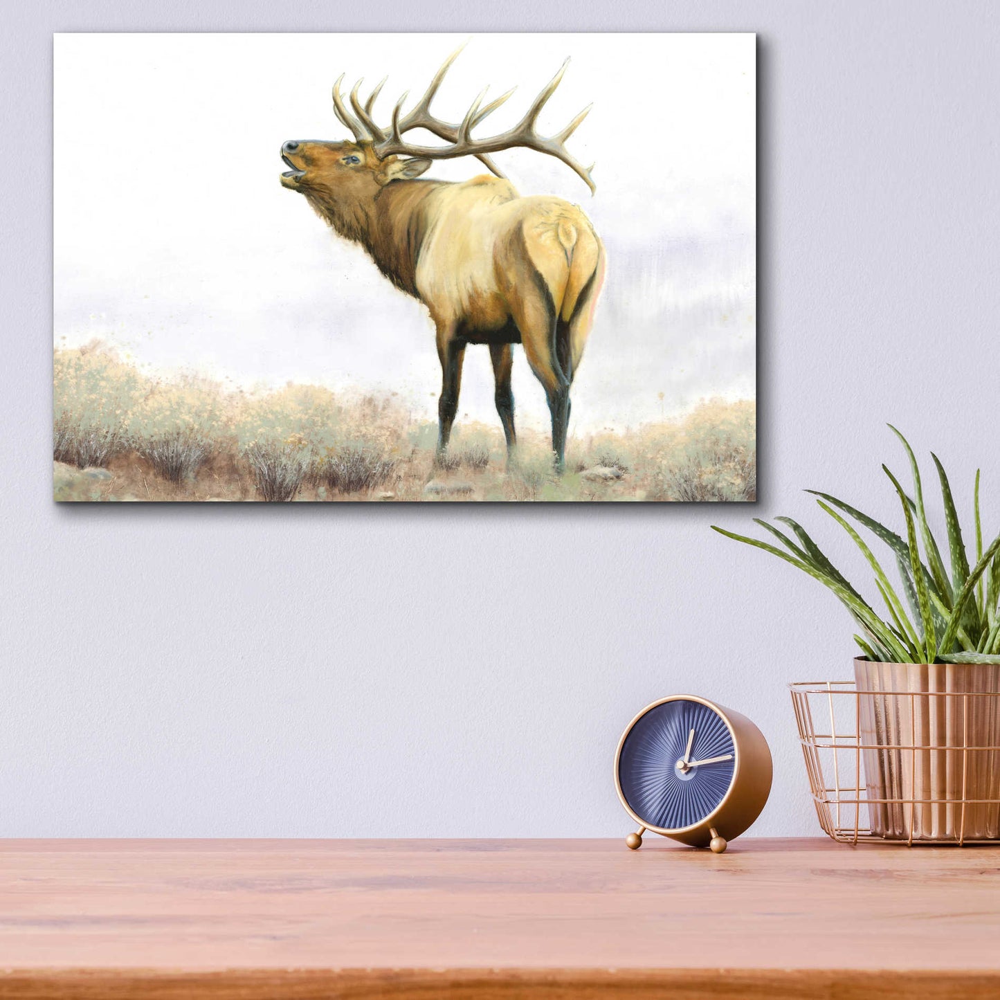 Epic Art 'Majestic Elk' by James Wiens, Acrylic Glass Wall Art,16x12