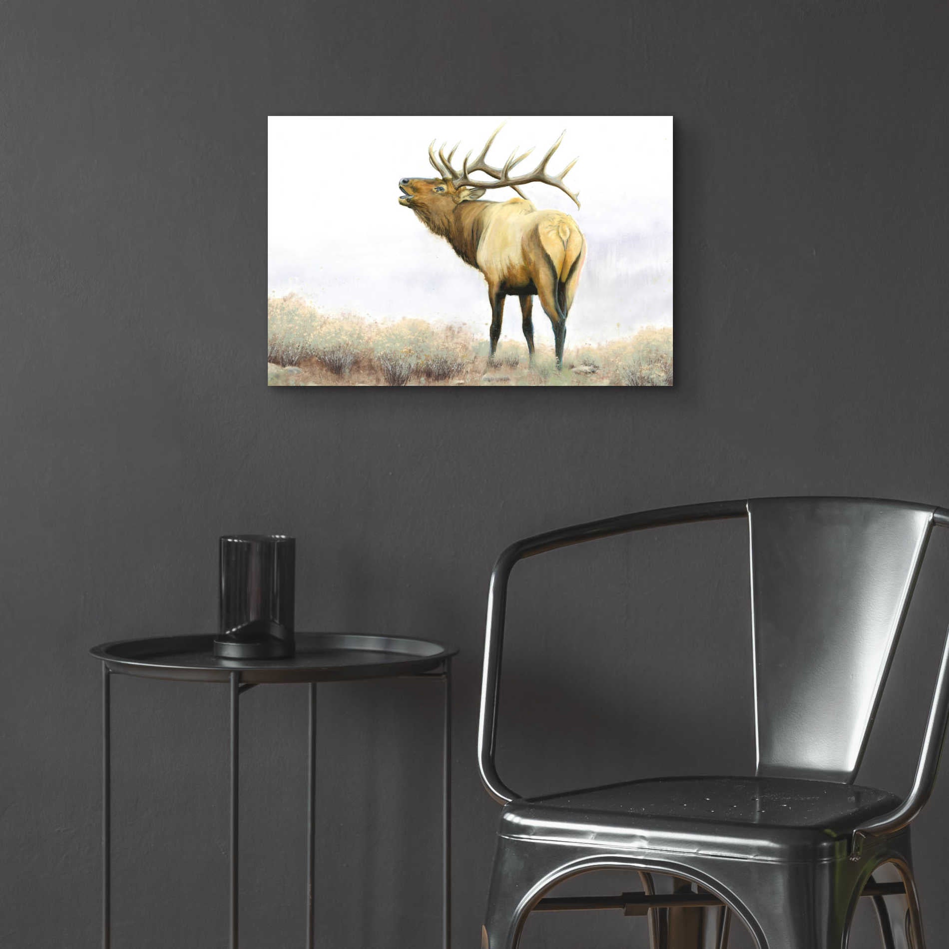 Epic Art 'Majestic Elk' by James Wiens, Acrylic Glass Wall Art,24x16