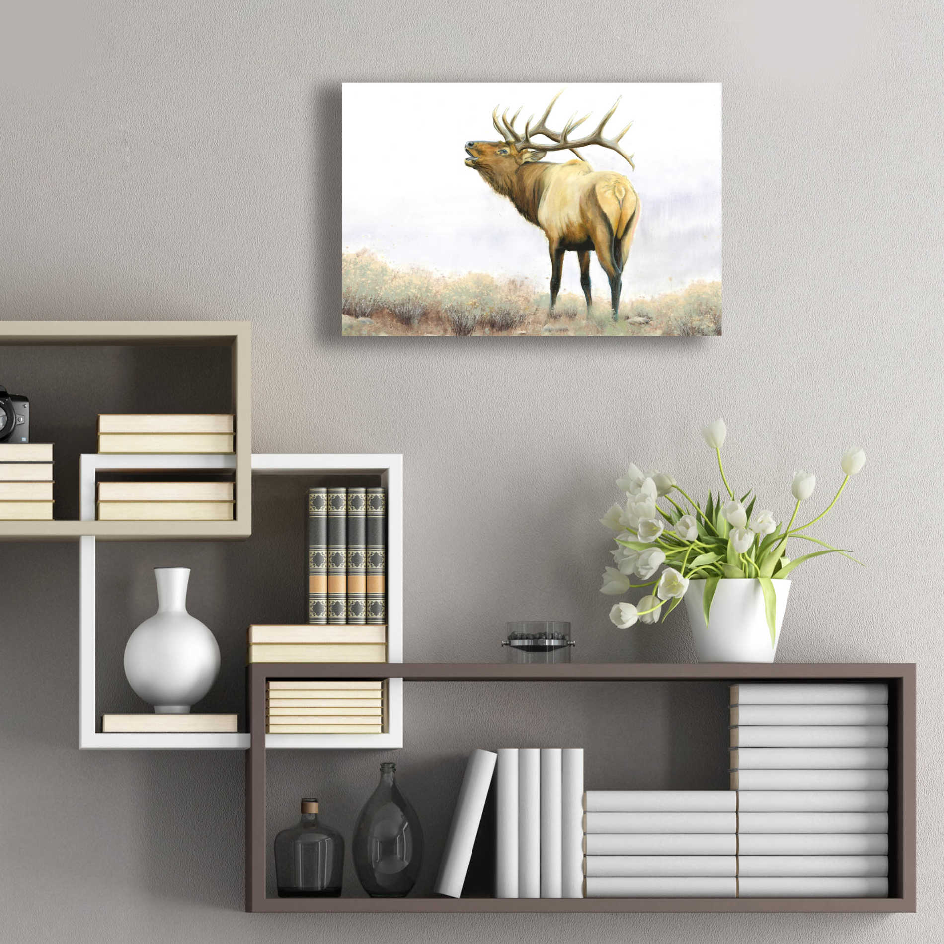 Epic Art 'Majestic Elk' by James Wiens, Acrylic Glass Wall Art,24x16