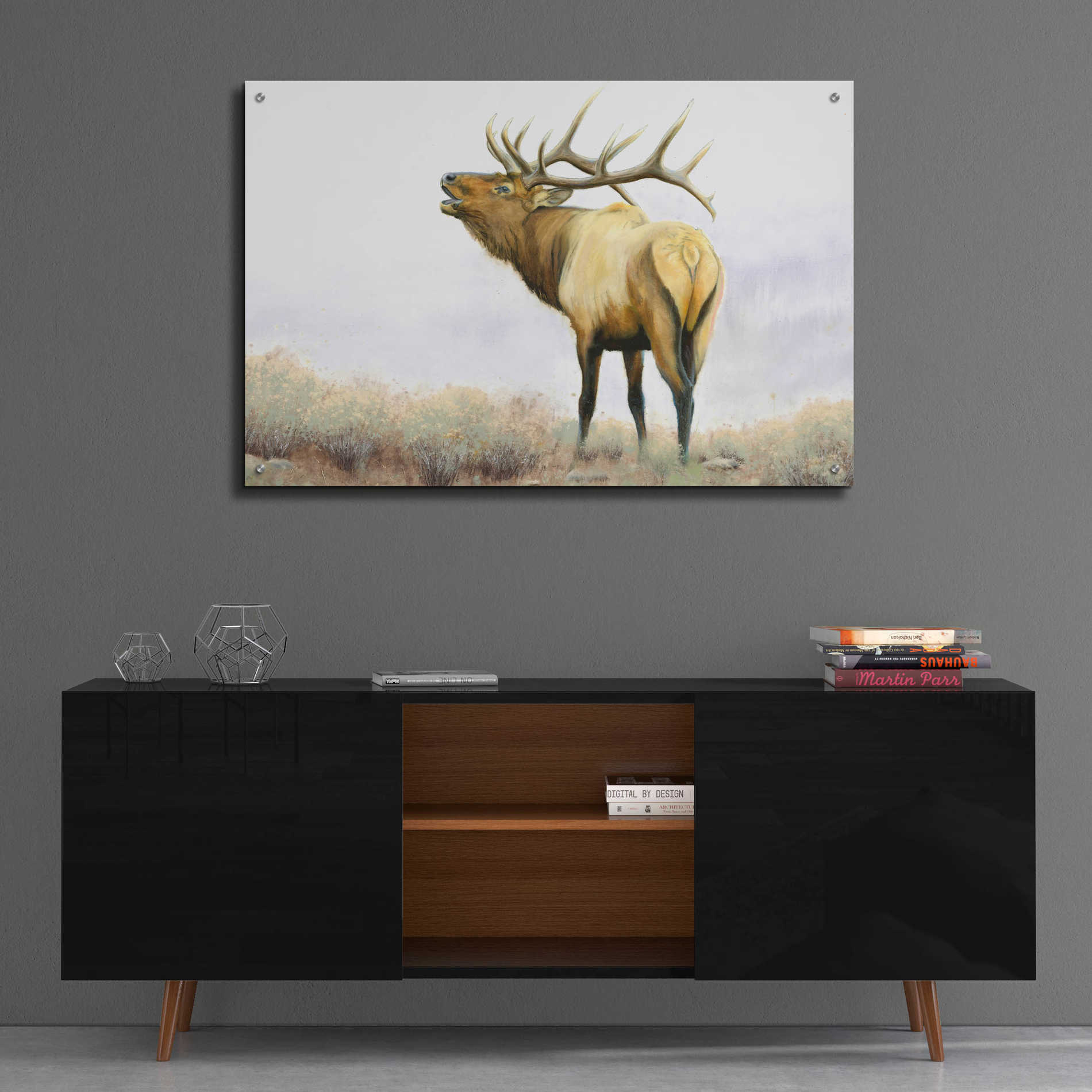 Epic Art 'Majestic Elk' by James Wiens, Acrylic Glass Wall Art,36x24