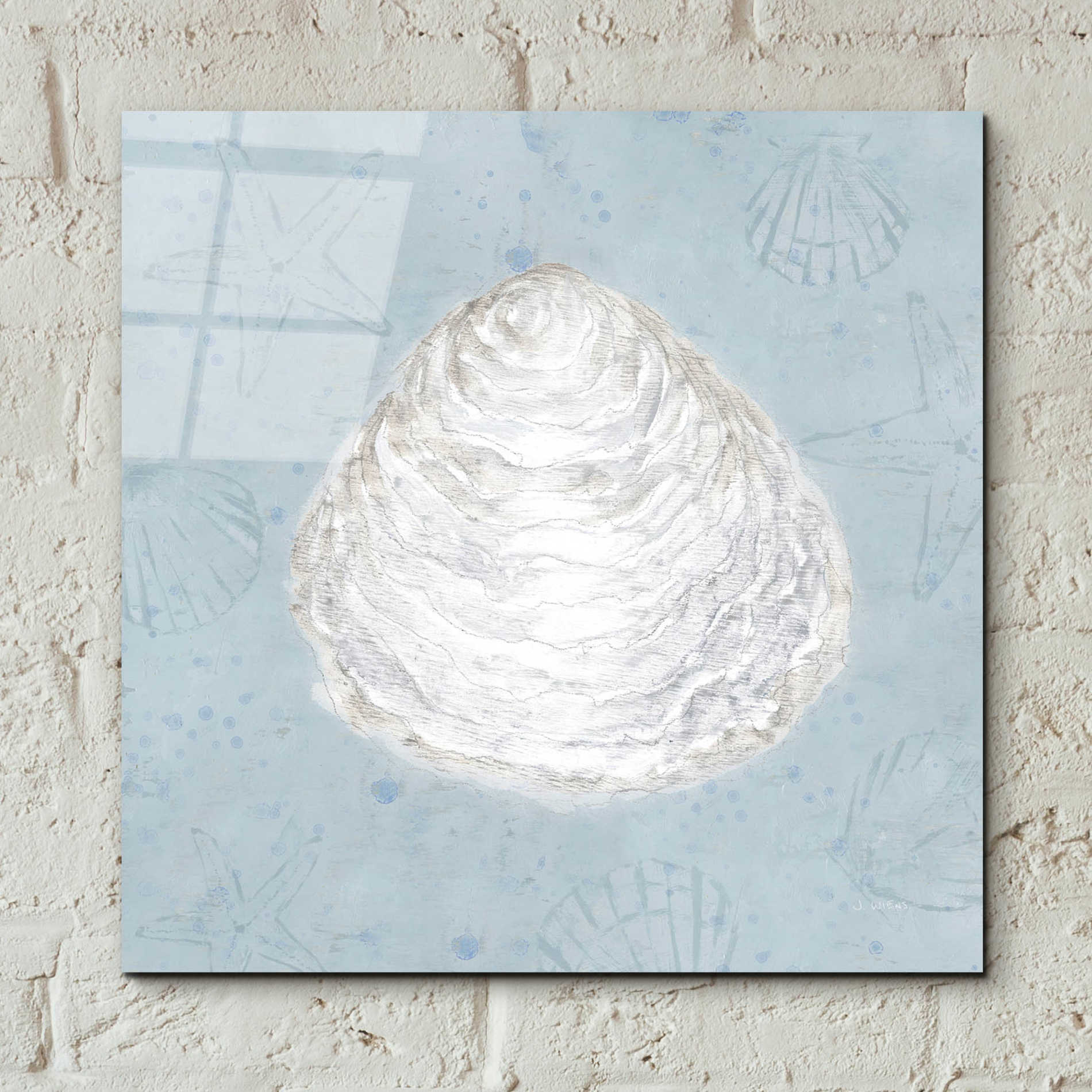 Epic Art 'Serene Shells I' by James Wiens, Acrylic Glass Wall Art,12x12