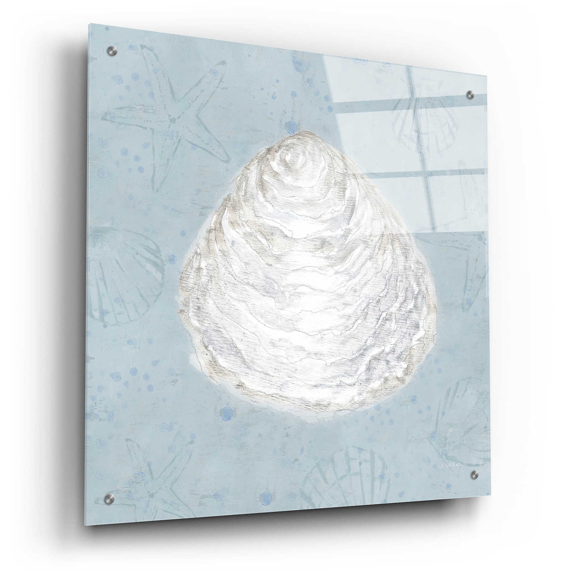 Epic Art 'Serene Shells I' by James Wiens, Acrylic Glass Wall Art,24x24