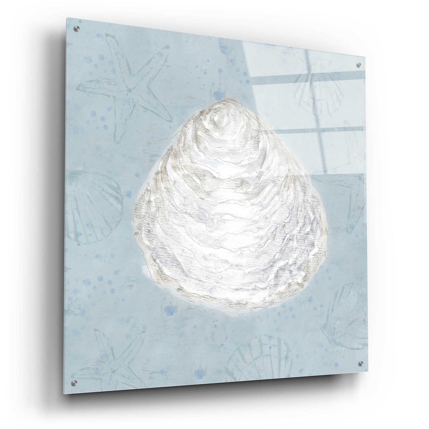 Epic Art 'Serene Shells I' by James Wiens, Acrylic Glass Wall Art,36x36